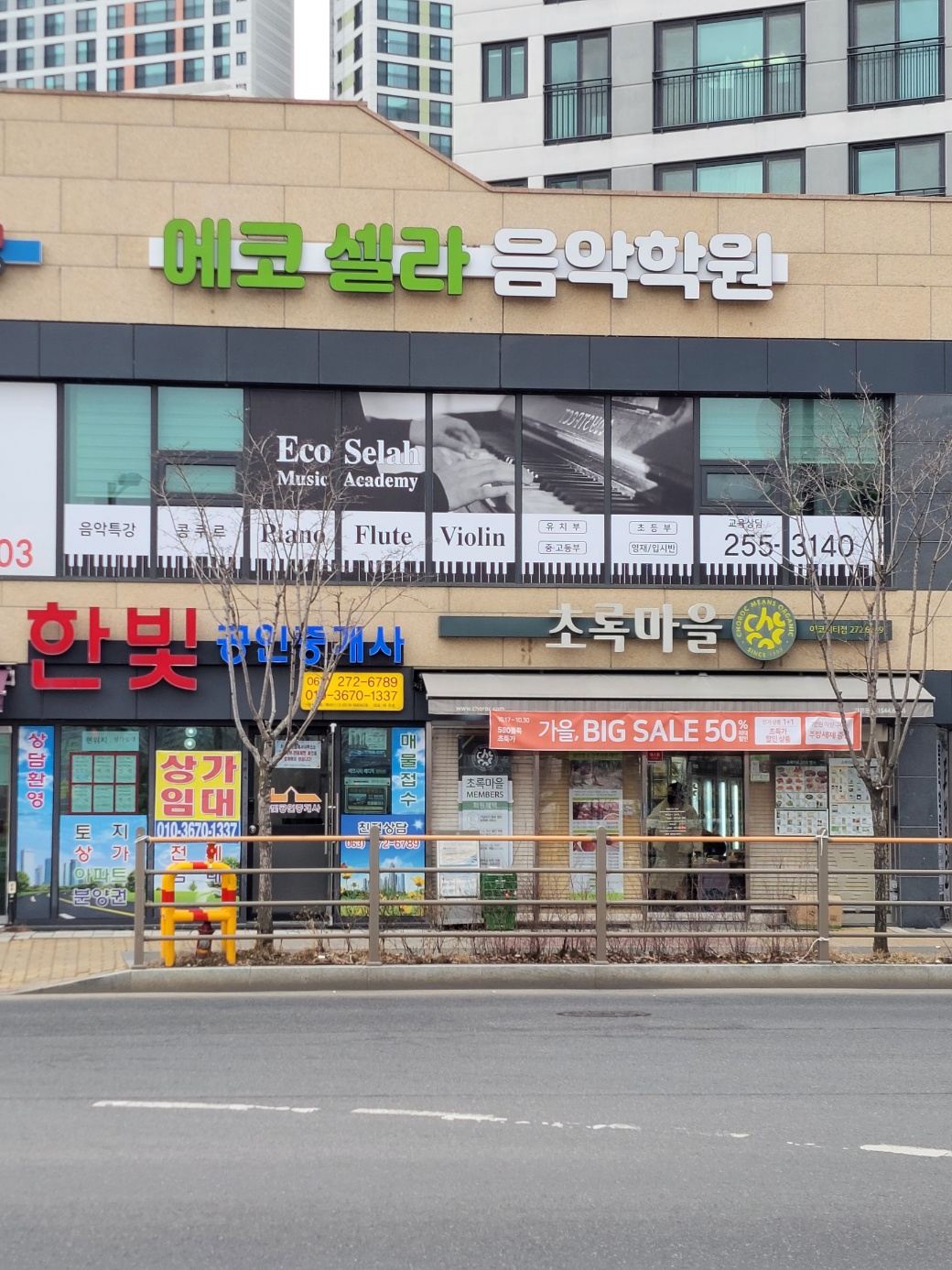 에코셀라음악학원