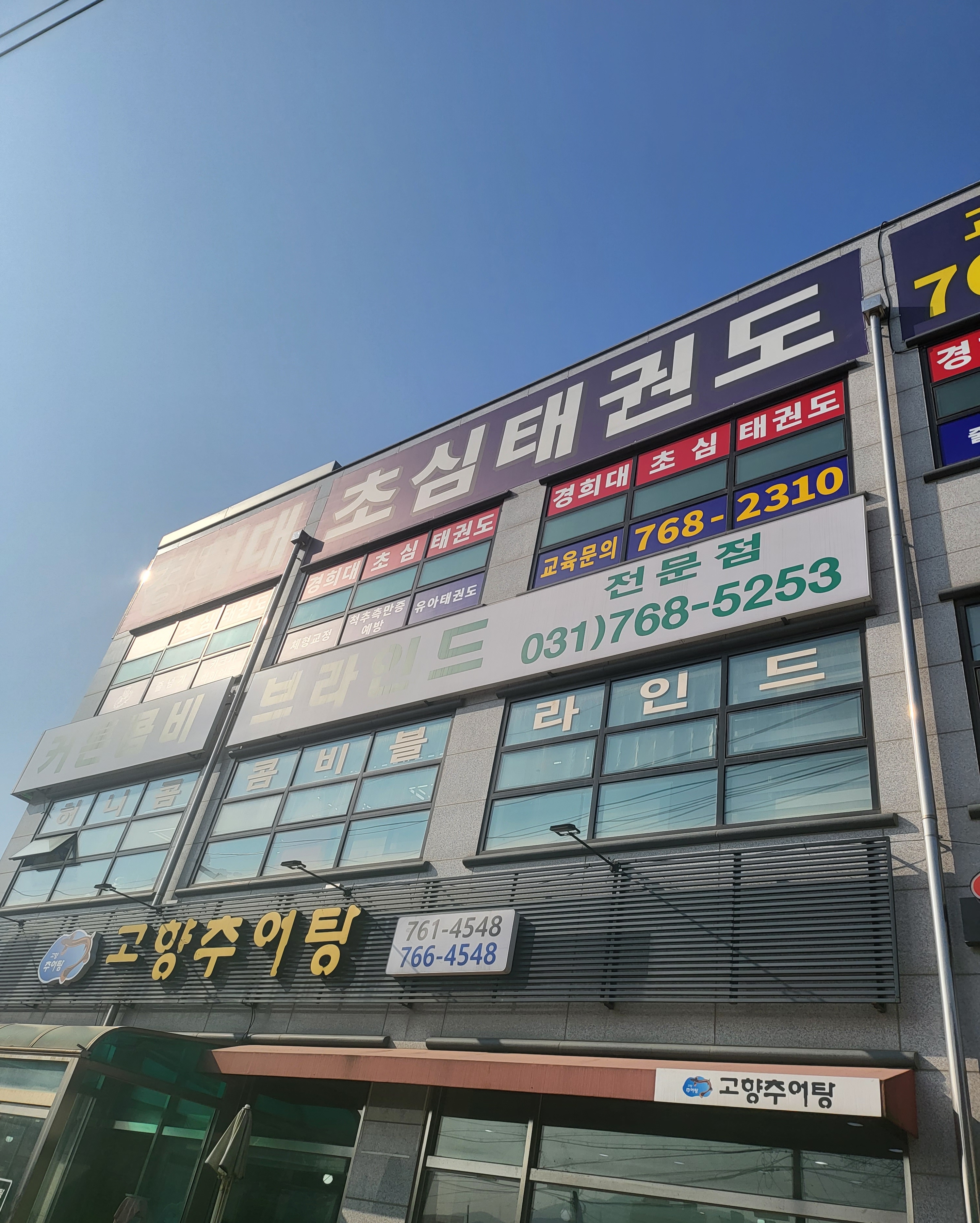 경희대 초심 태권도