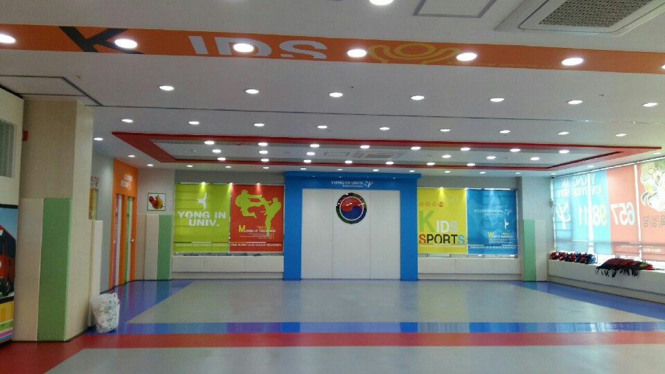 용인대청룡 태권도장