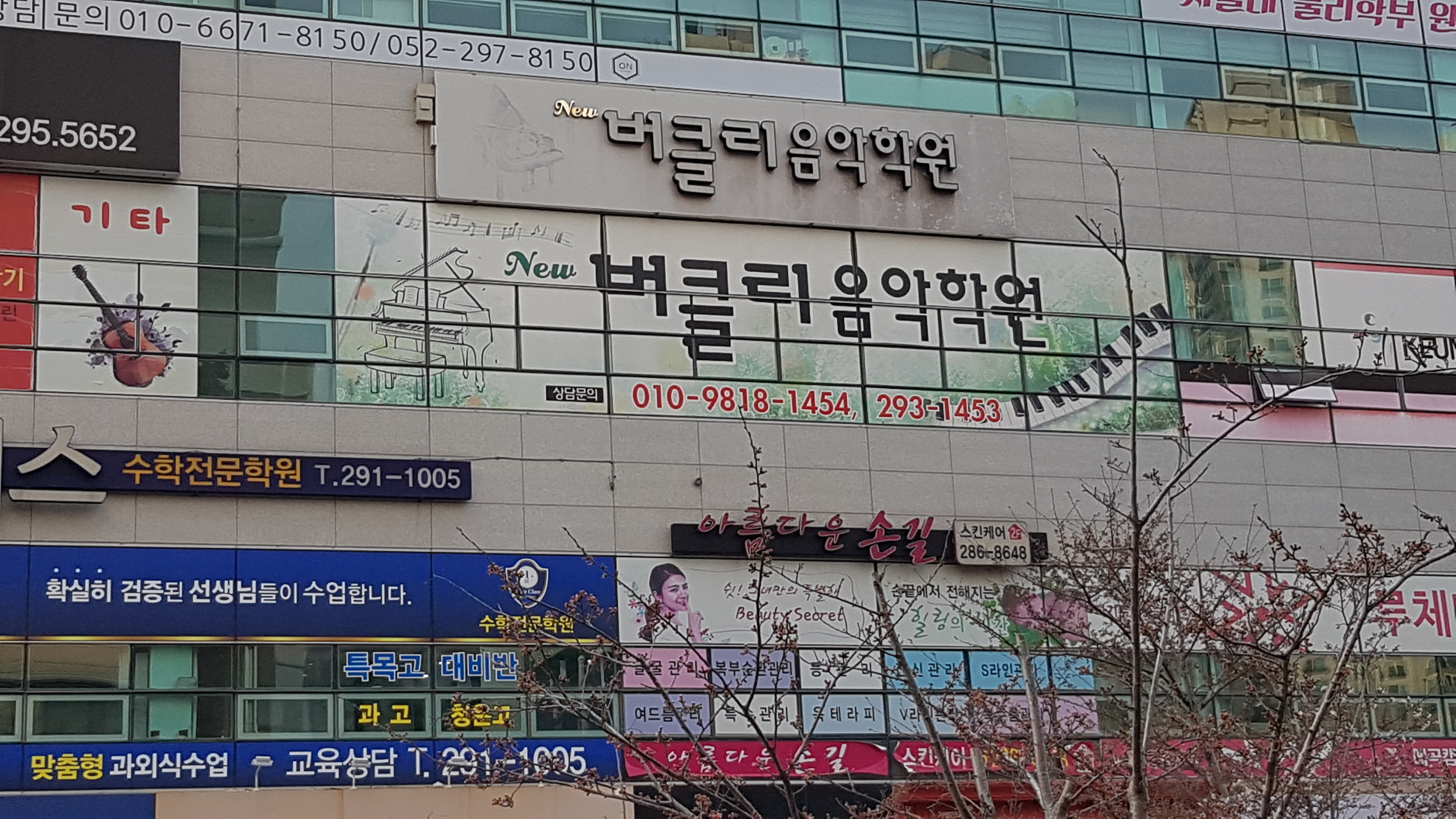 뉴버클리음악학원