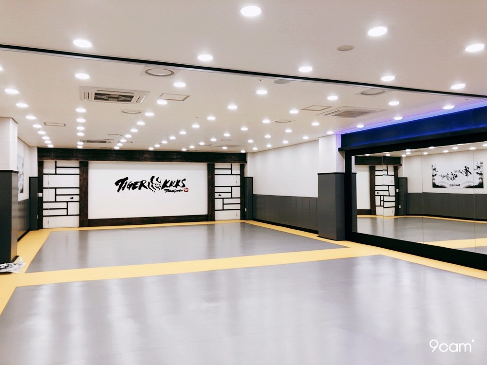 타이거킥스 태권도
