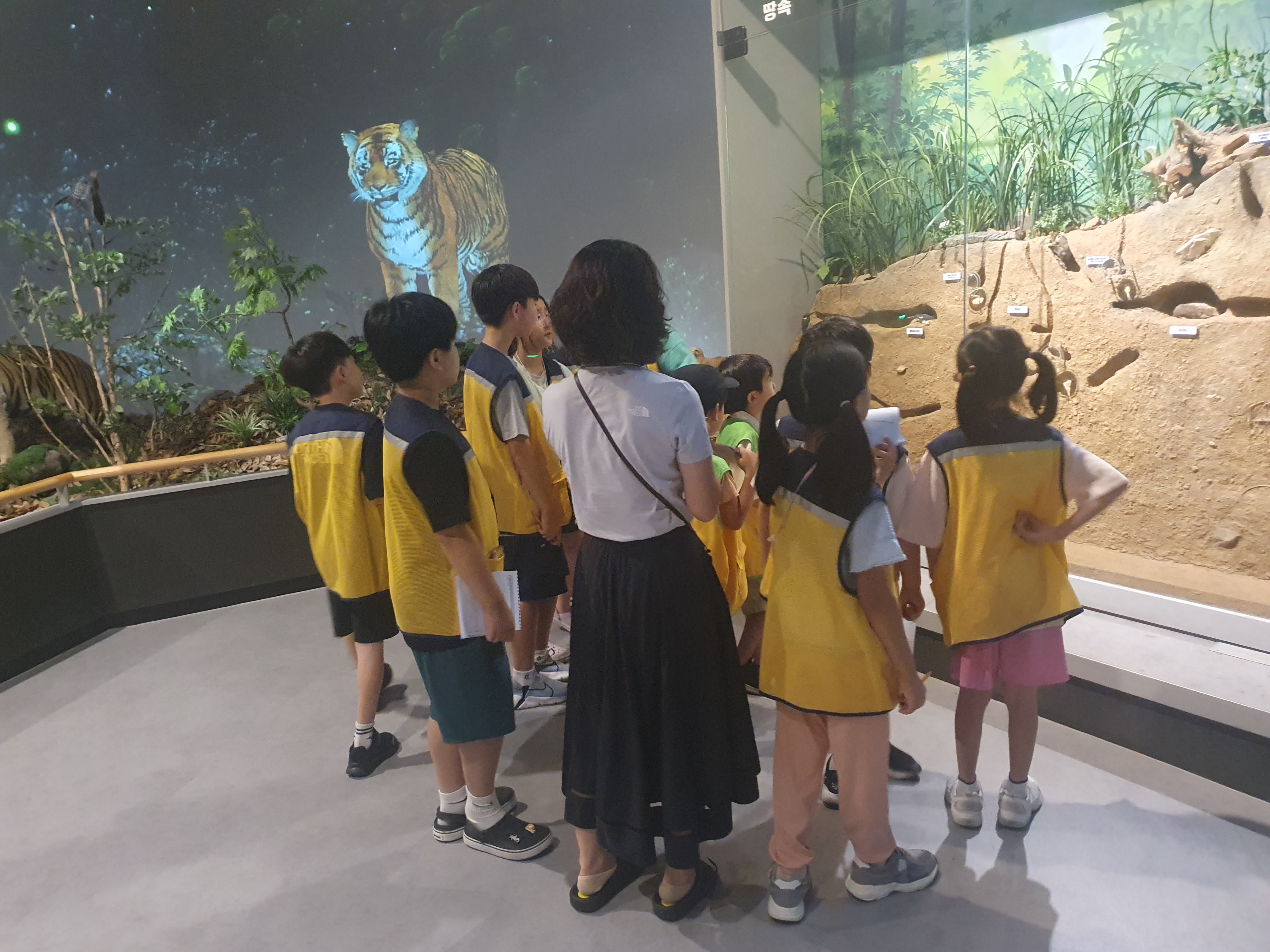 와이즈만영재교육학원
