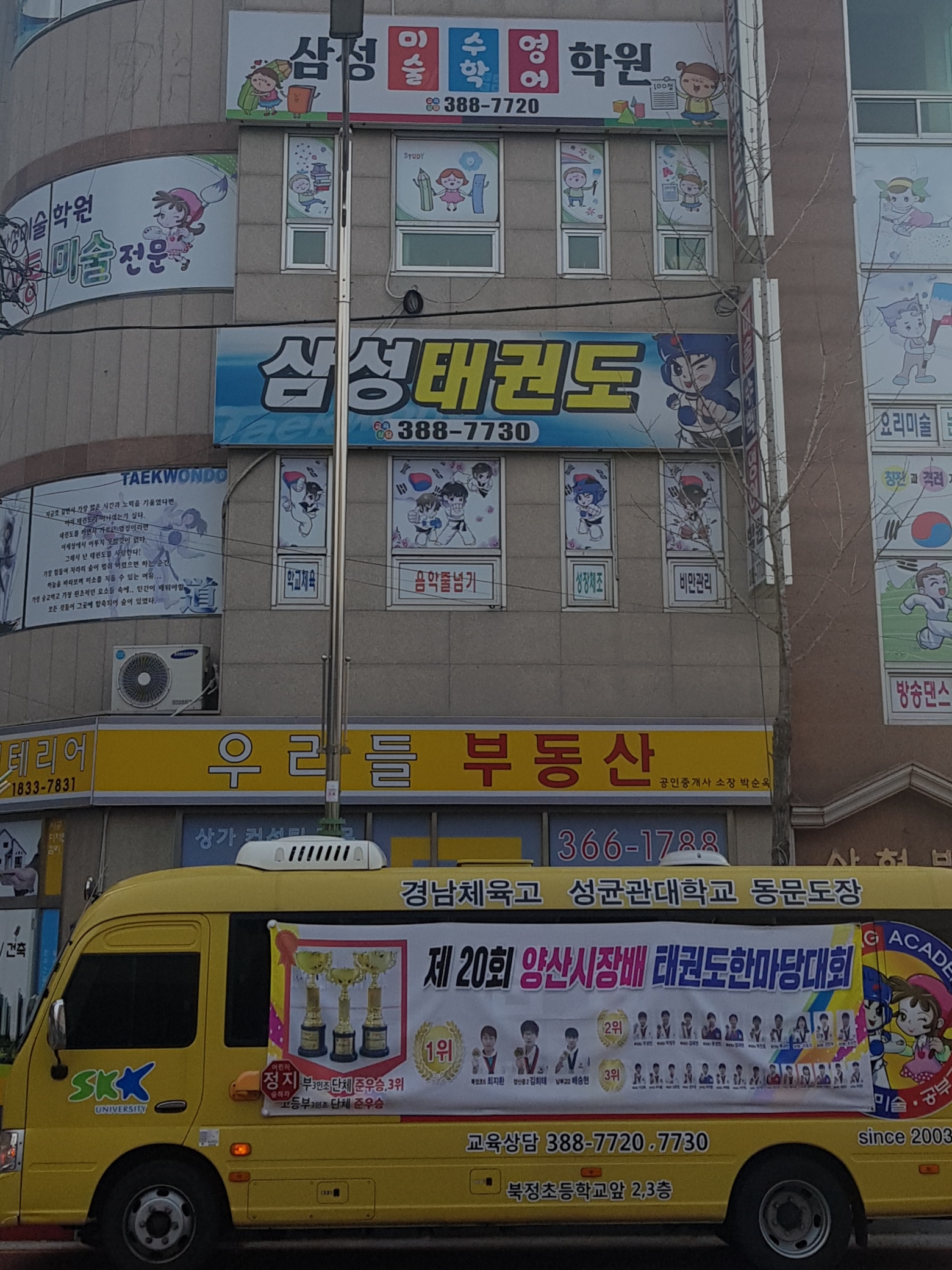 삼성 태권도
