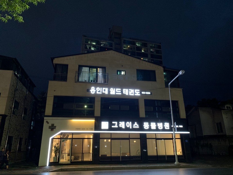 용인대월드 태권도 2관