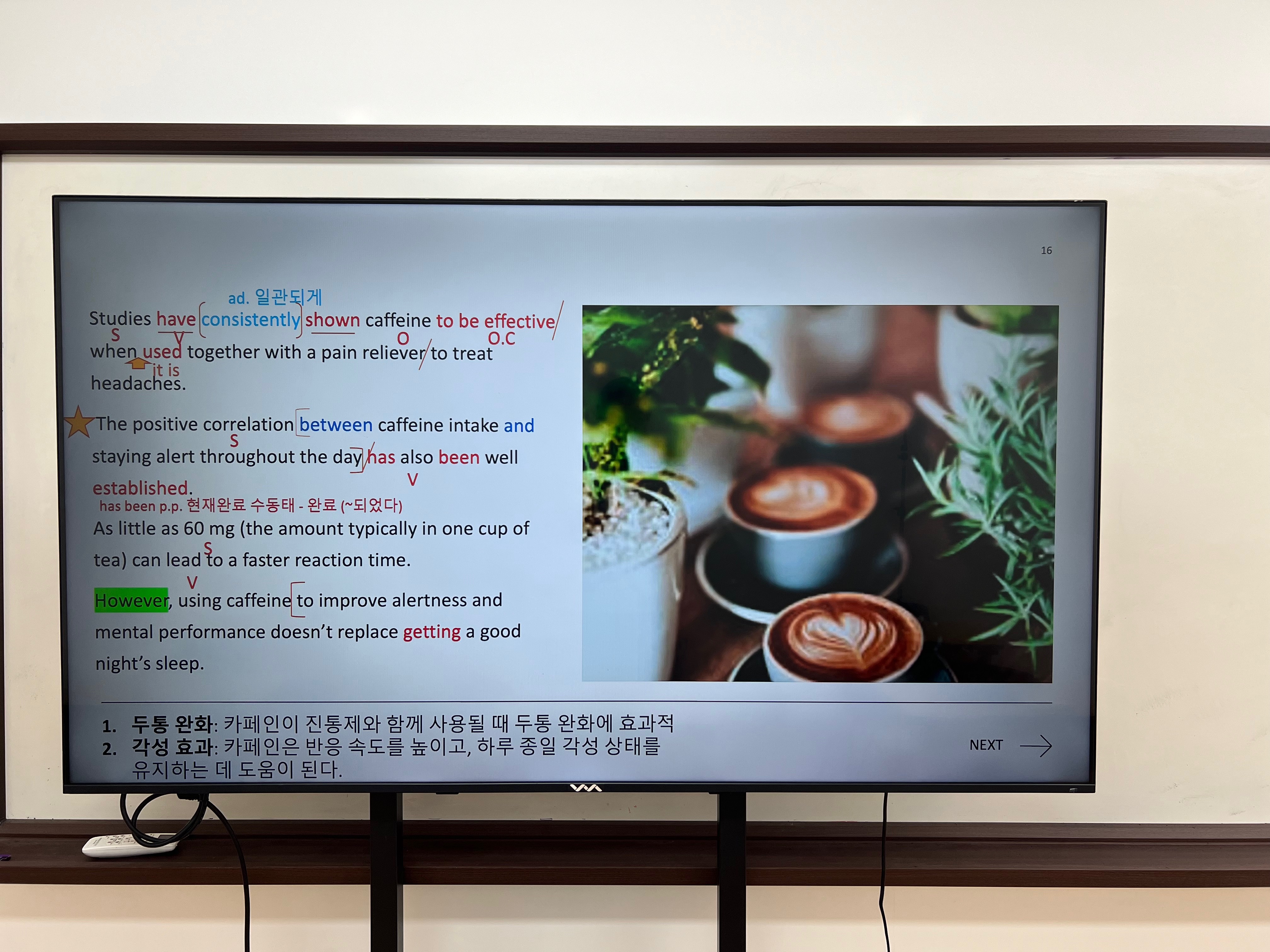 더웨이퍼스 어학원