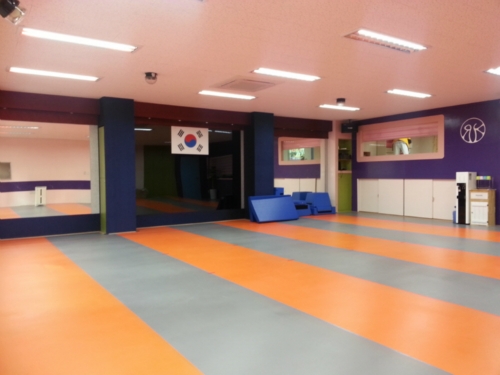 최현리브레인 태권도