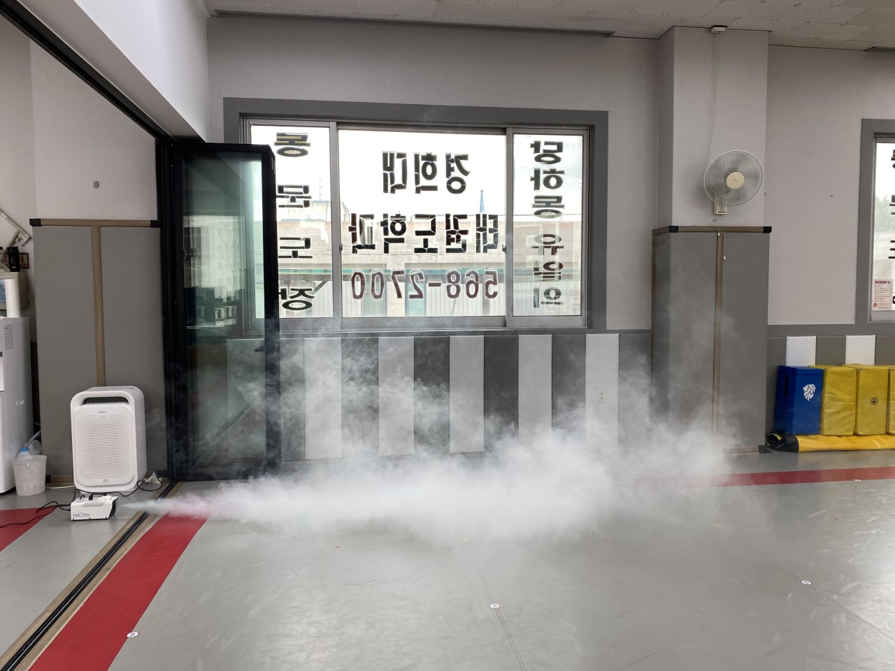 당하경희대 태권도