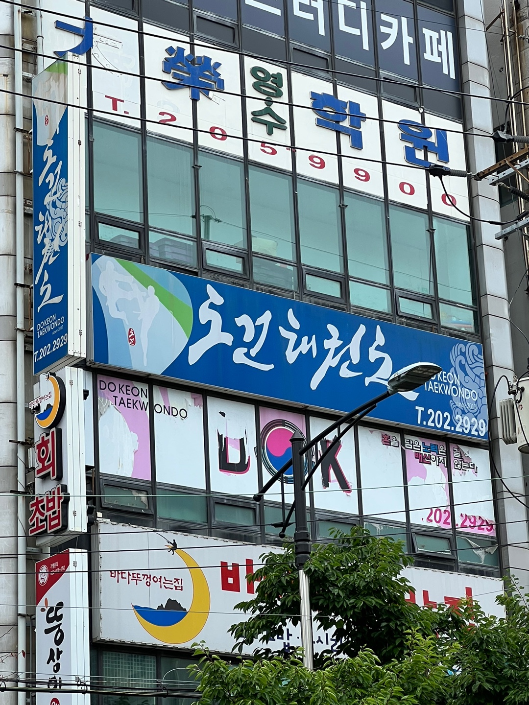 도건 태권도