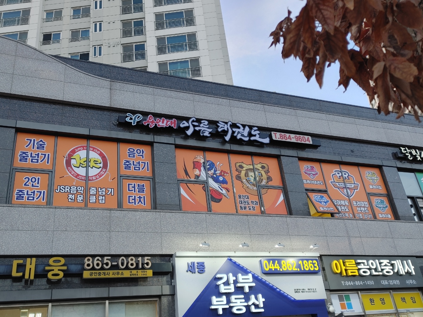 용인대아름 태권도