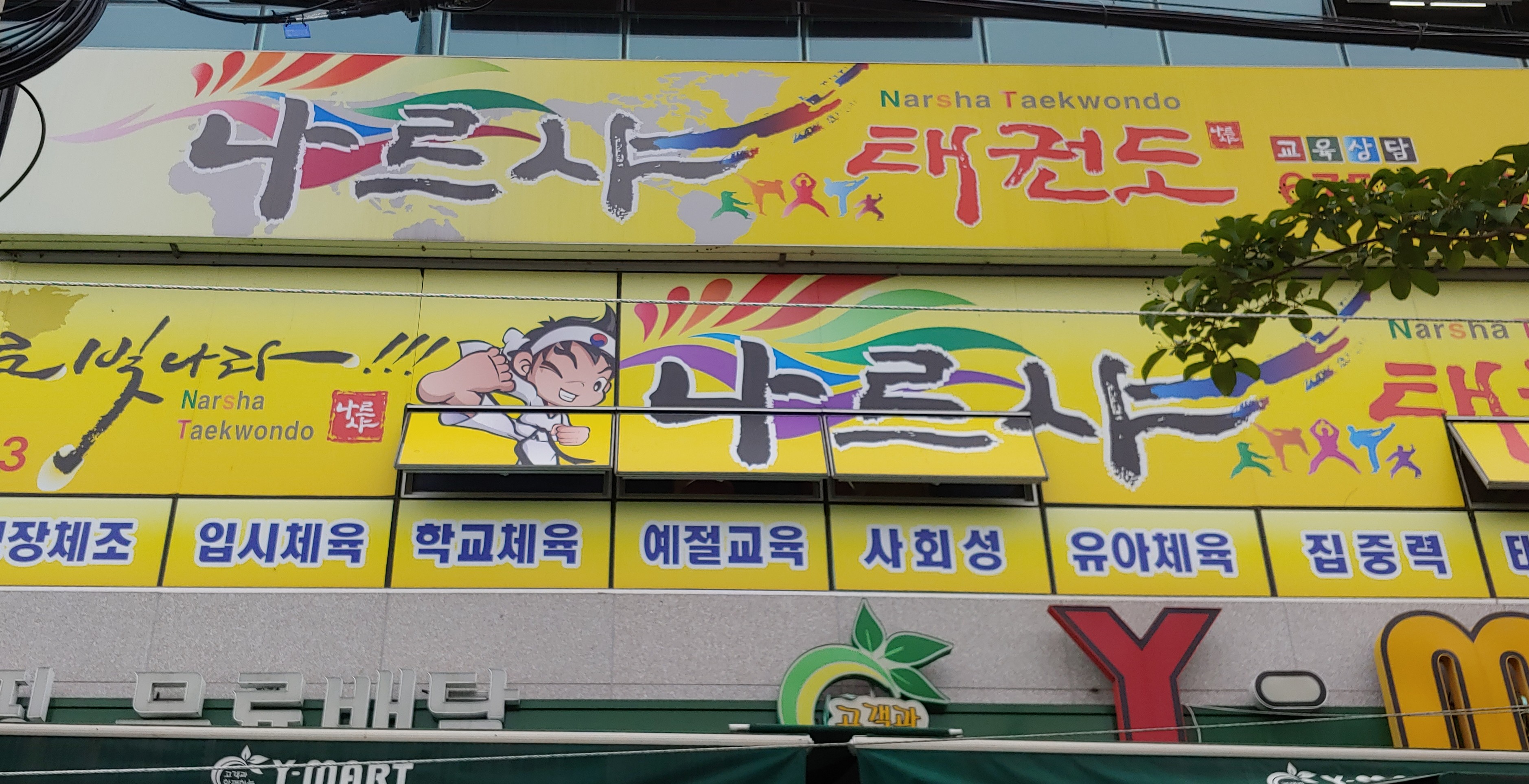 나르샤 태권도
