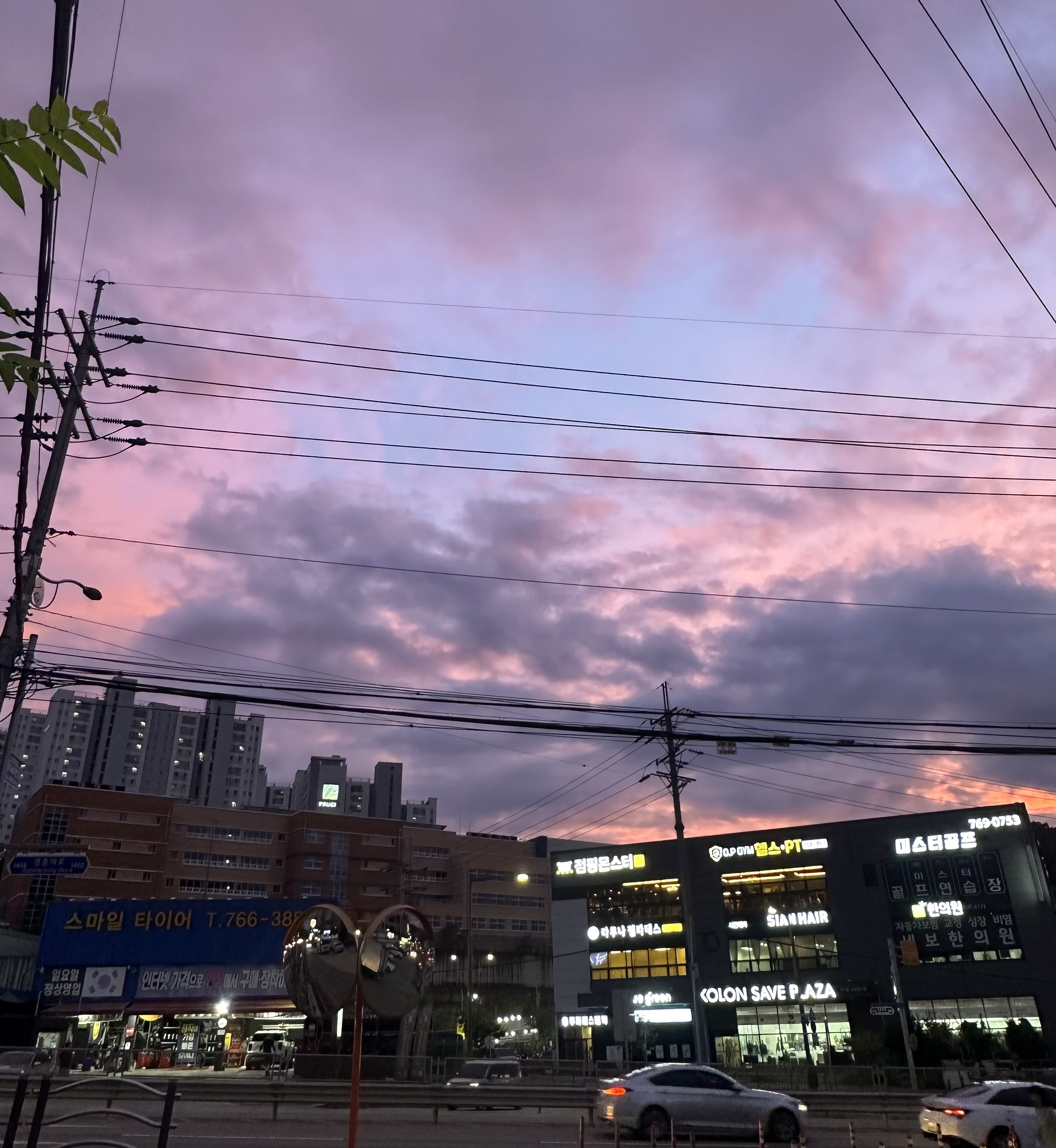 연세 플루트교습소