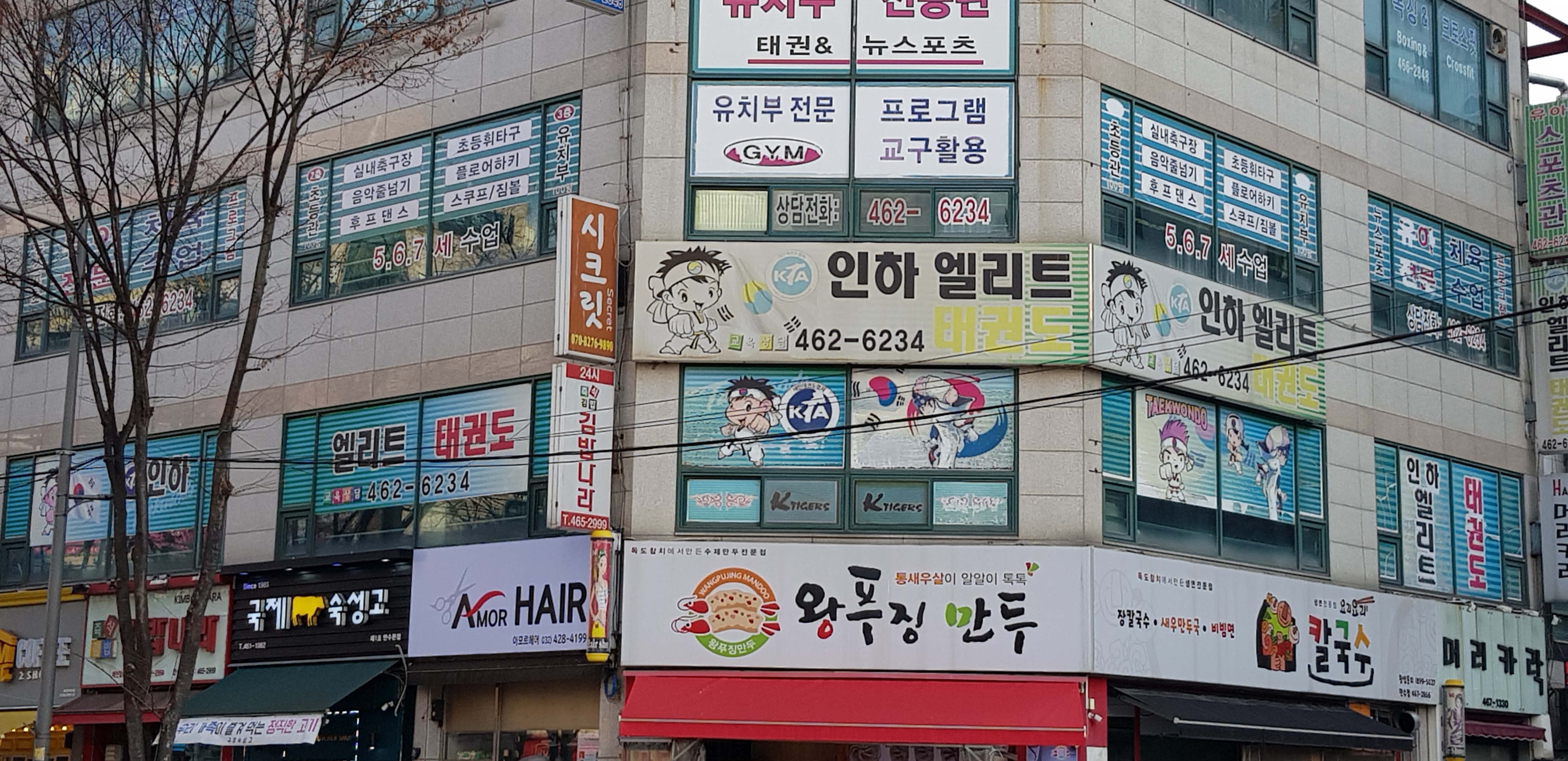 인하엘리트 태권도