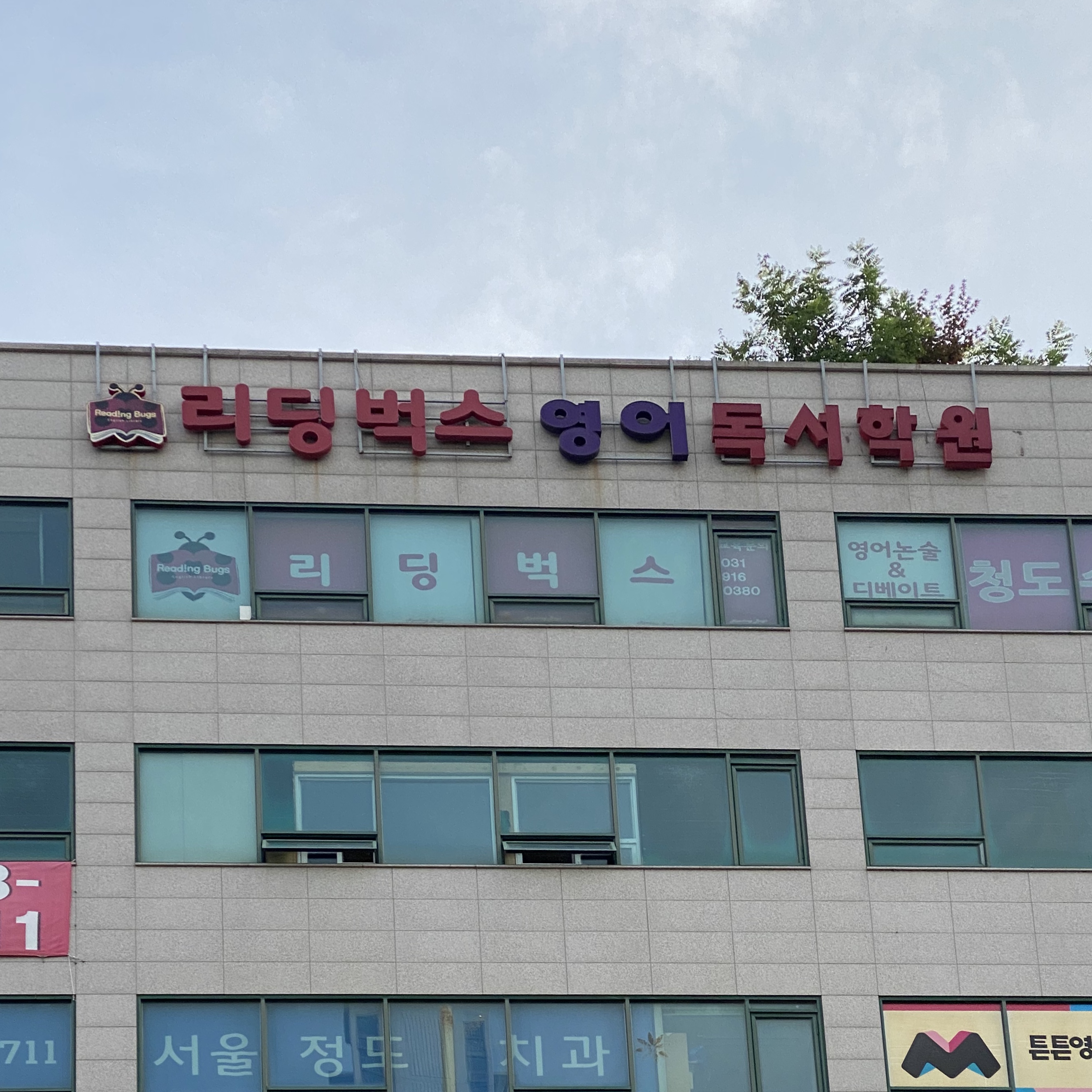리딩벅스 영어책통클럽학원