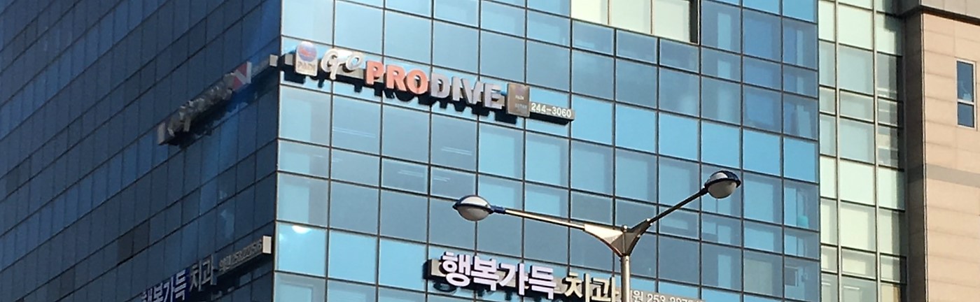 고프로다이브