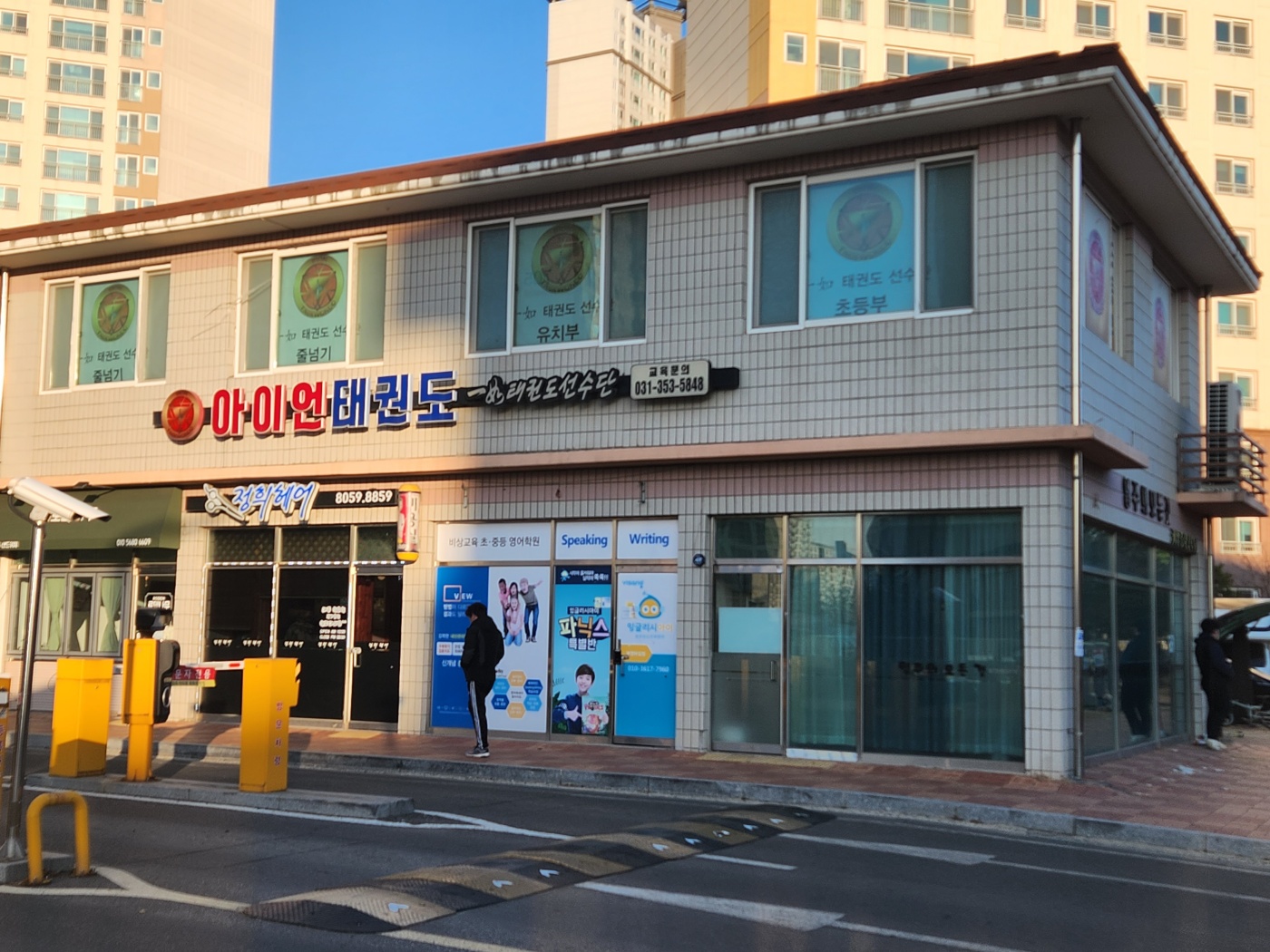 아이언 태권도