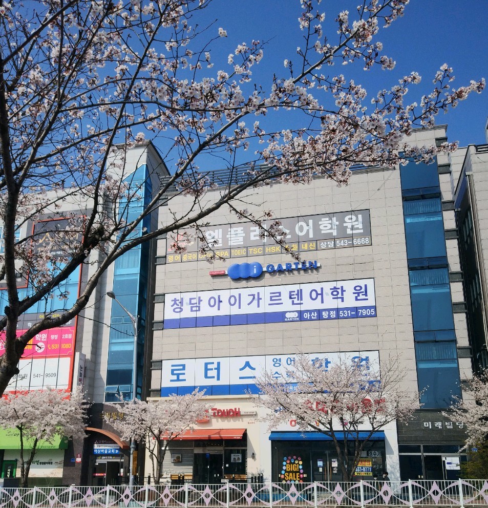 로터스학원