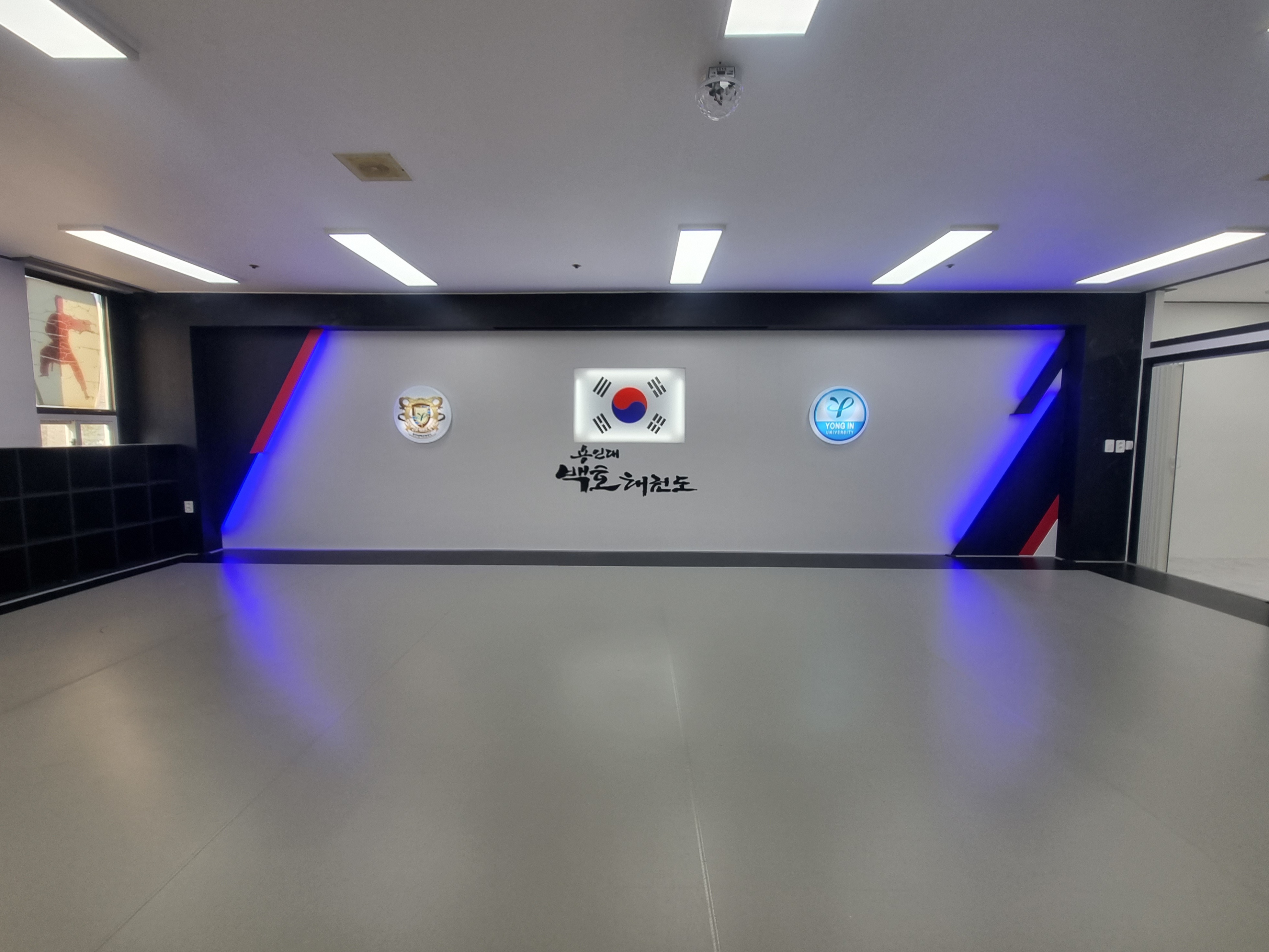 용인대백호 태권도
