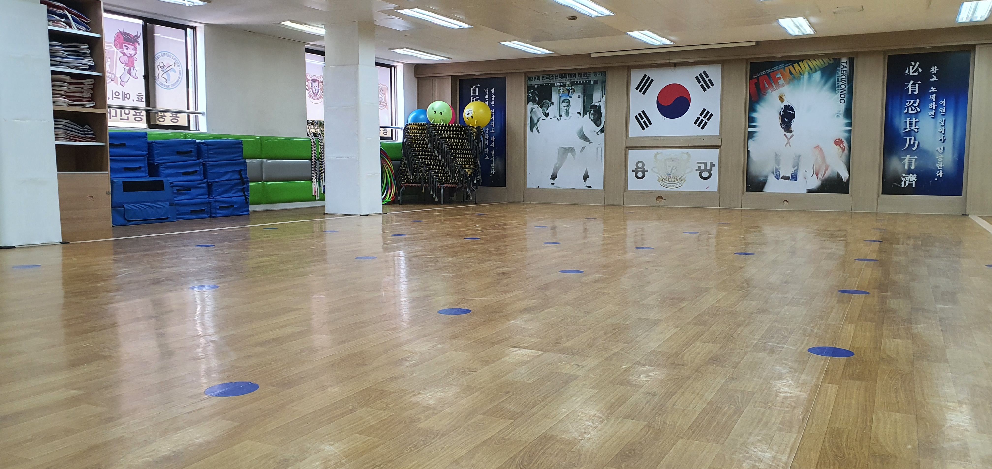 용광 용인대 태권도