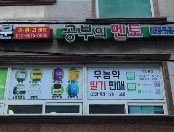 공부의멘토