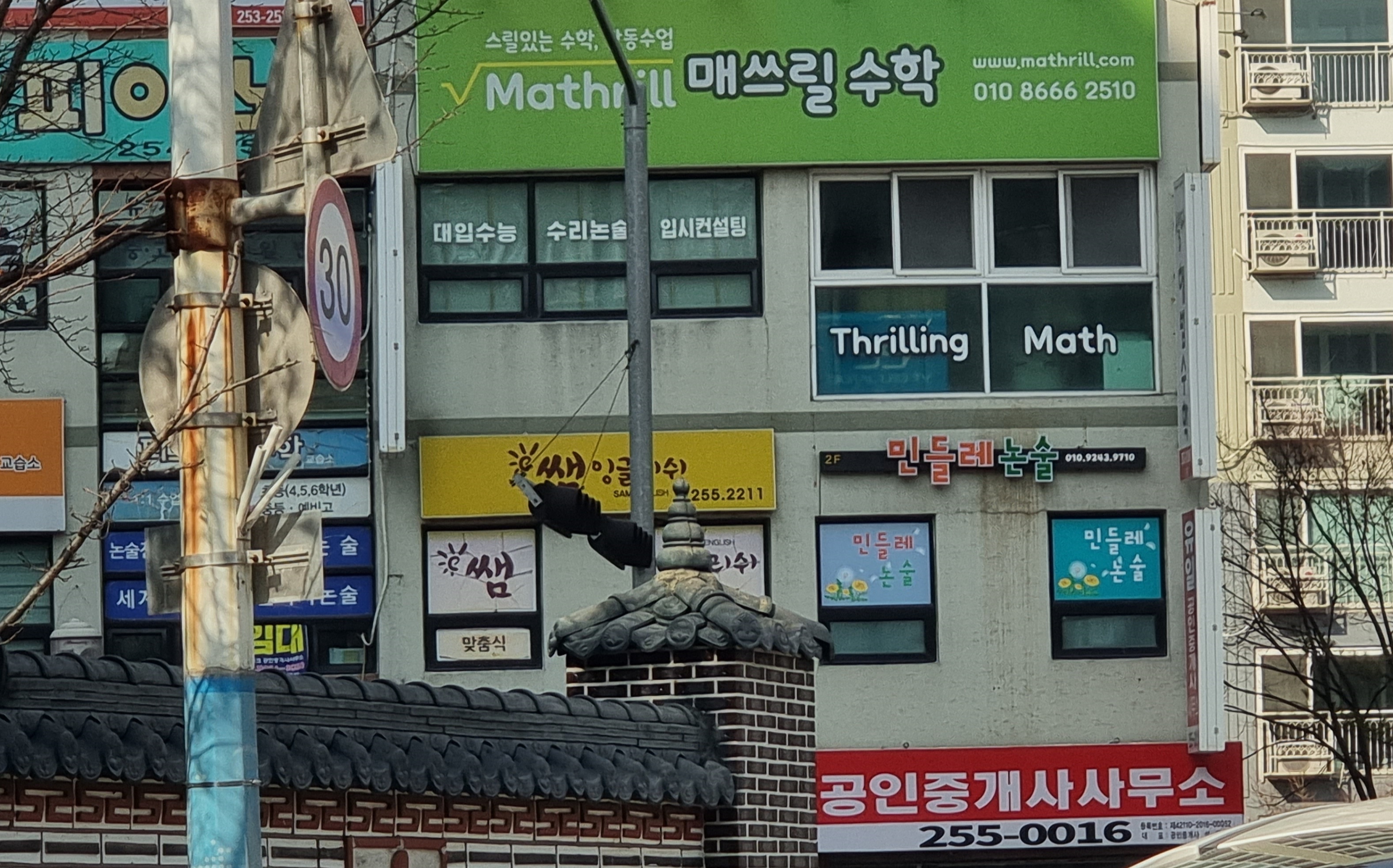 민들레 논술