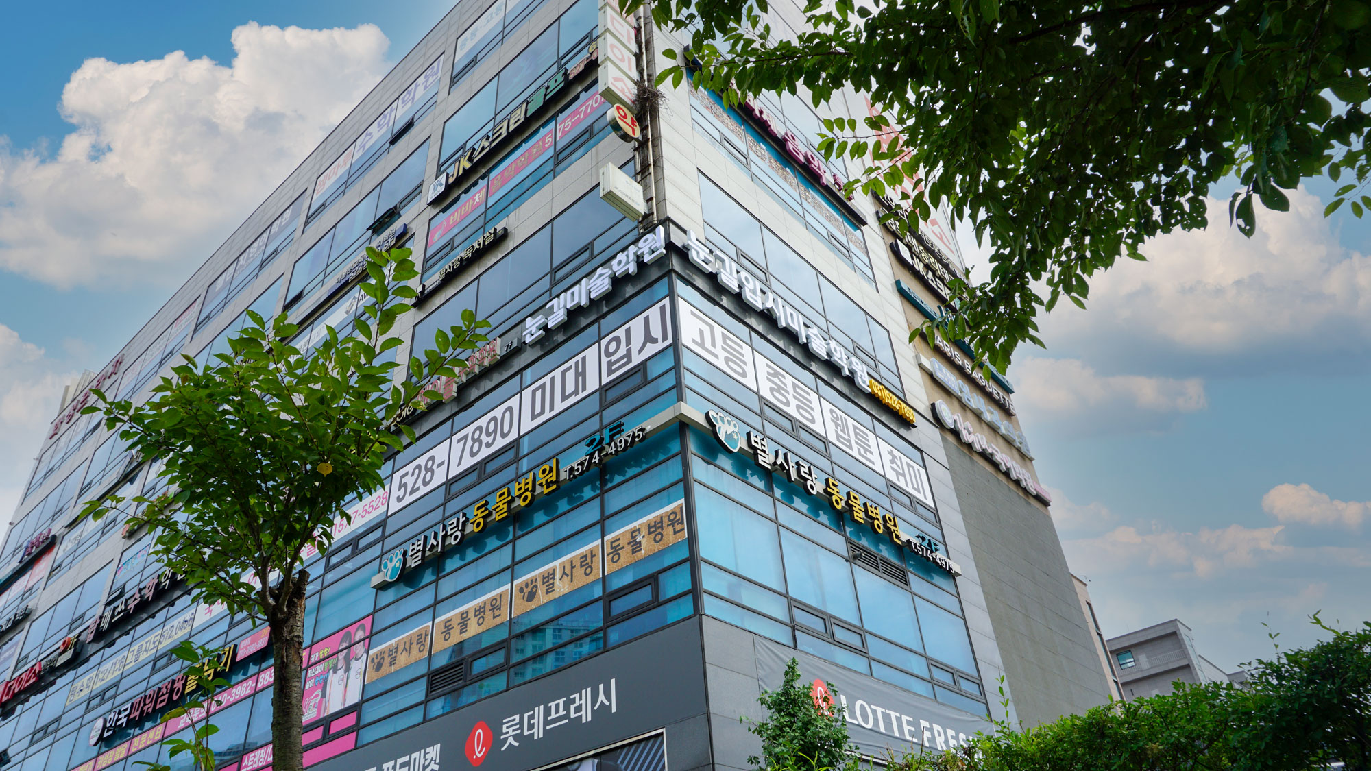 눈길 미술학원
