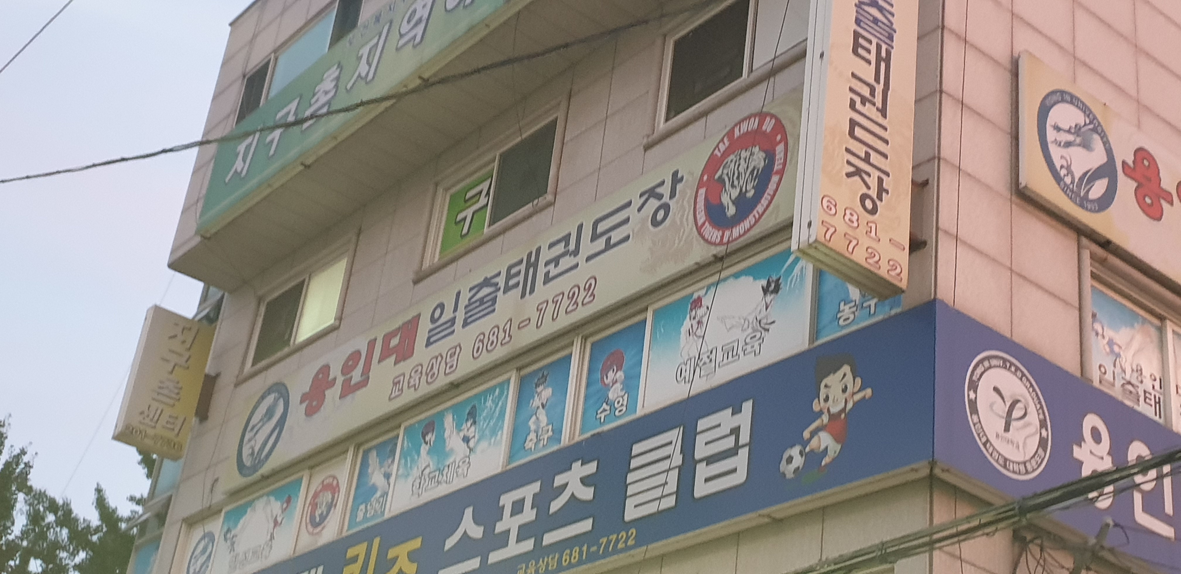 용인대일출 태권도장