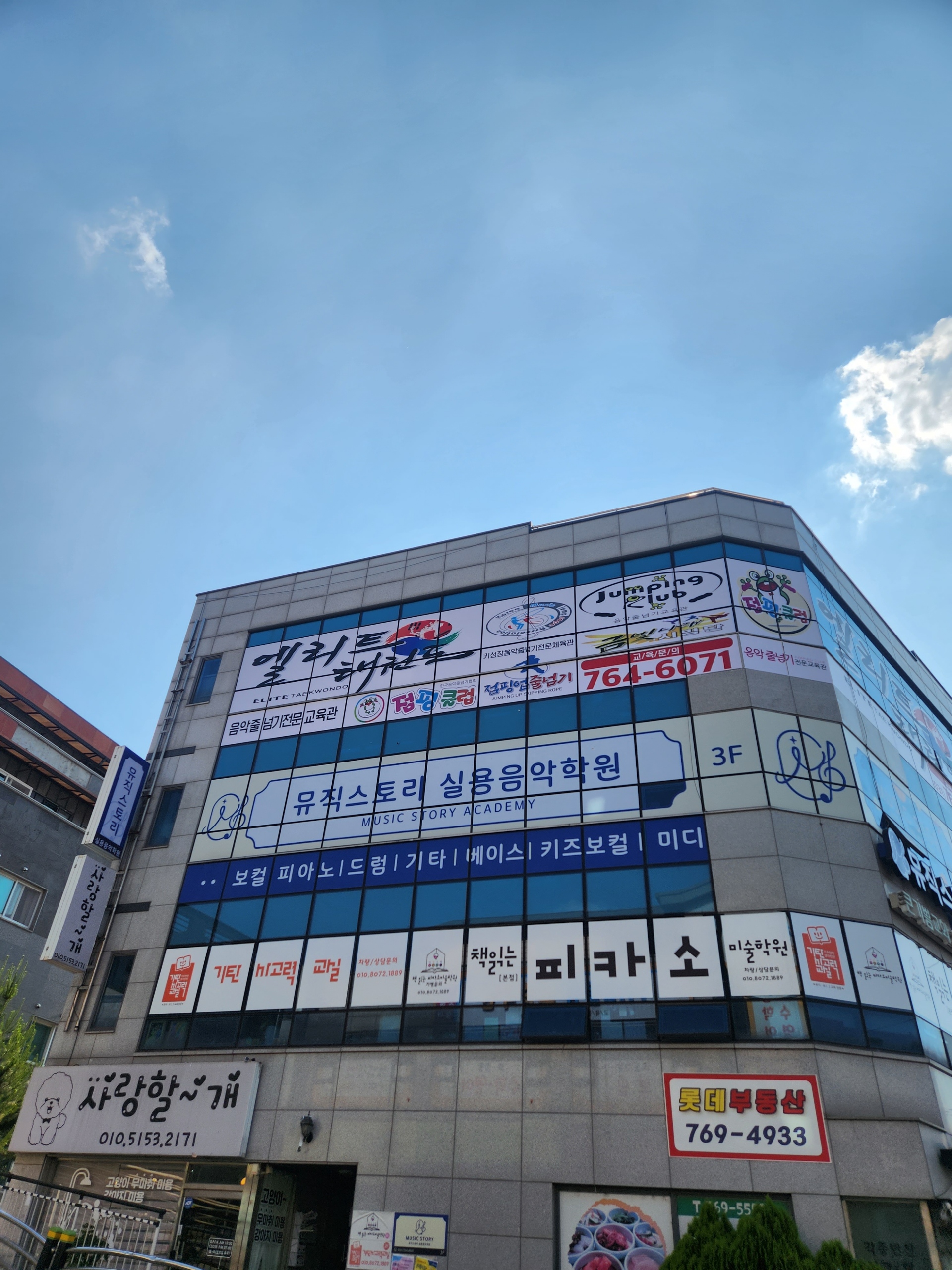 엘리트 태권도