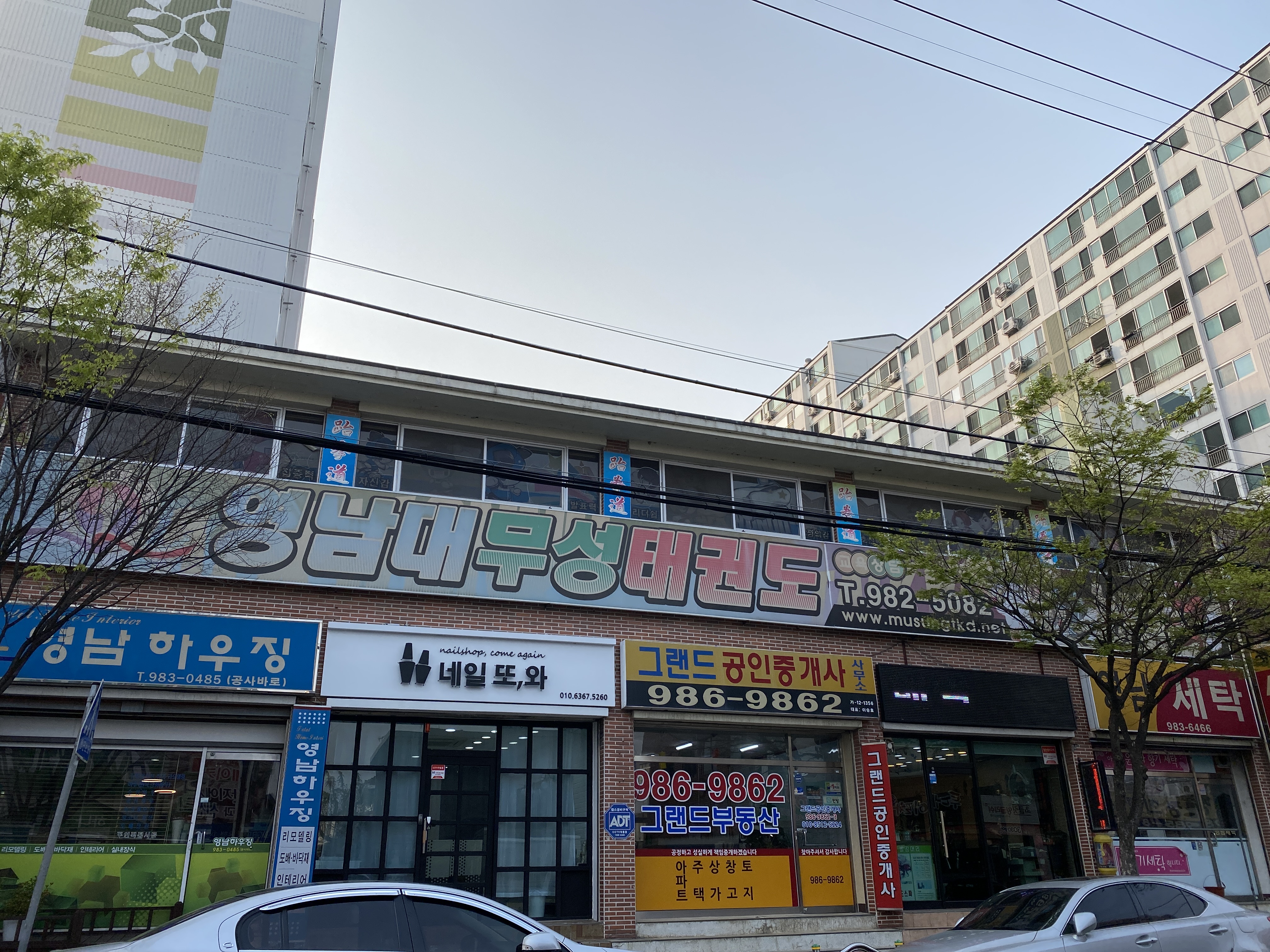 영남대무성 태권도