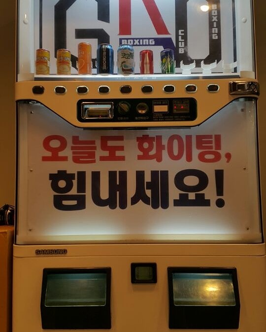 가오 복싱클럽
