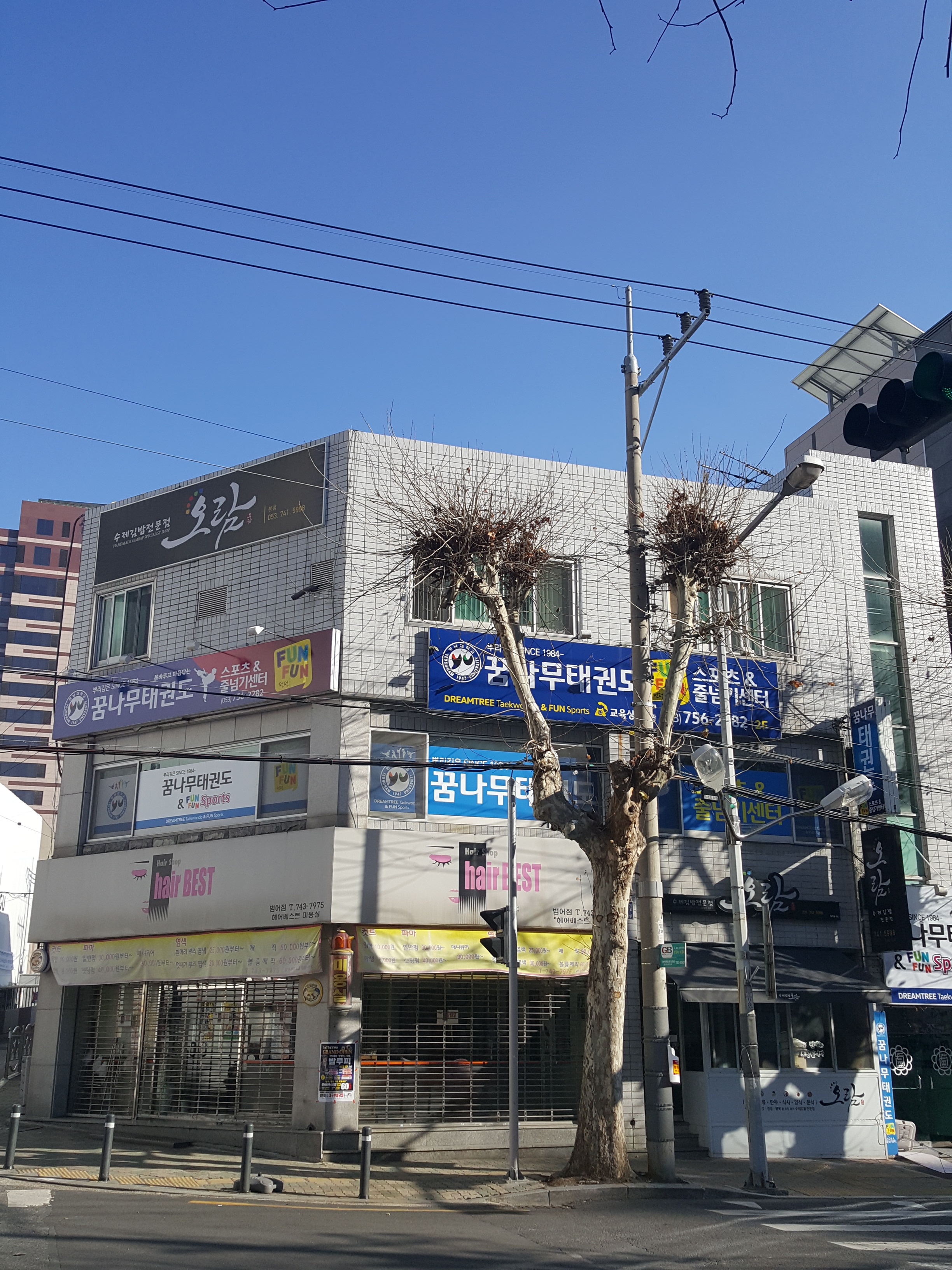꿈나무 태권도