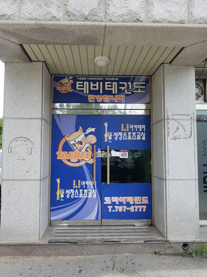 코리아 태비 태권도
