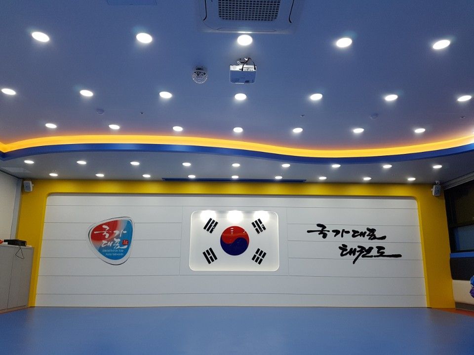 용황 국가대표태권도