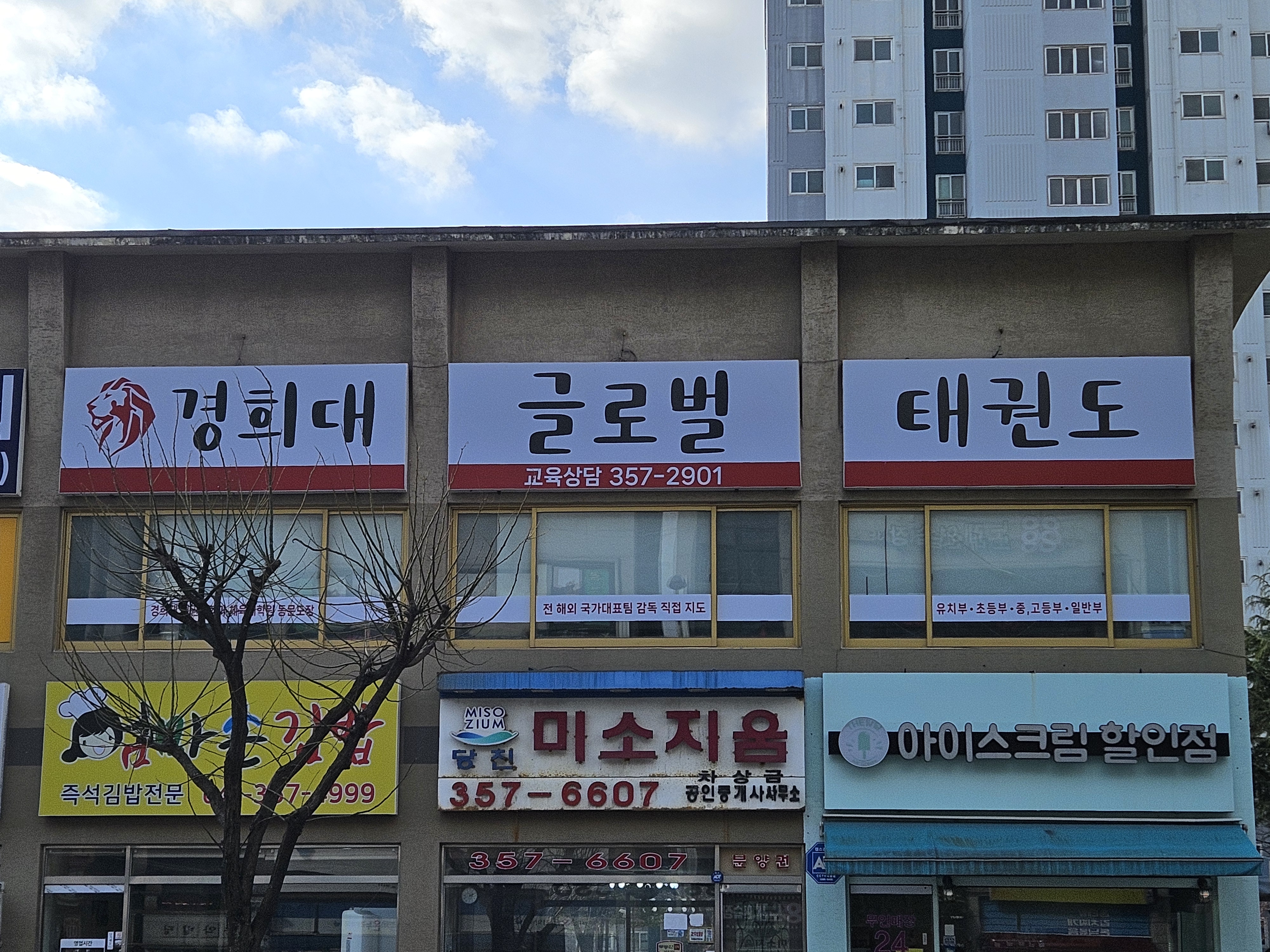 경희대 글로벌 태권도