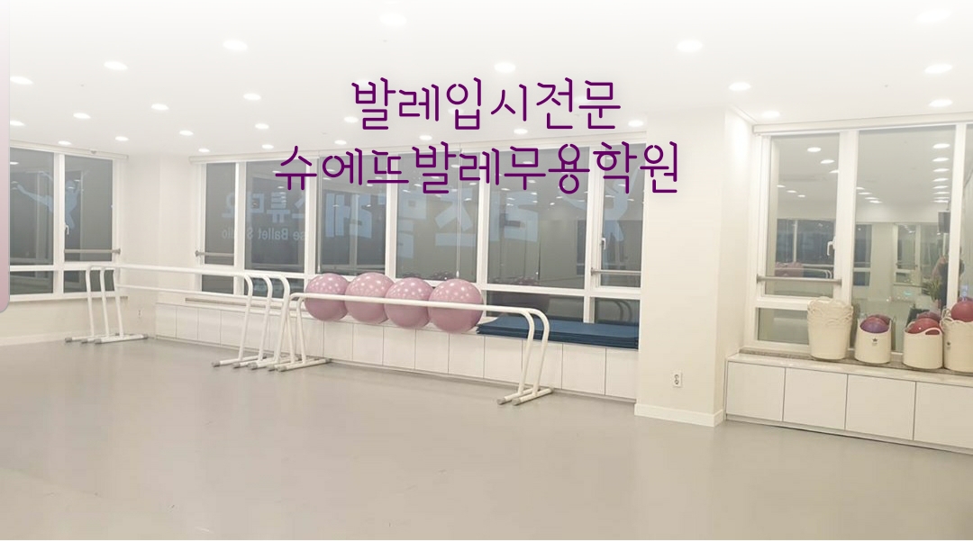 슈에뜨발레 무용학원 파주점