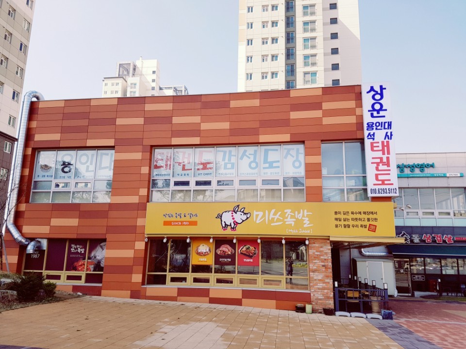 상운 용인대석사 태권도