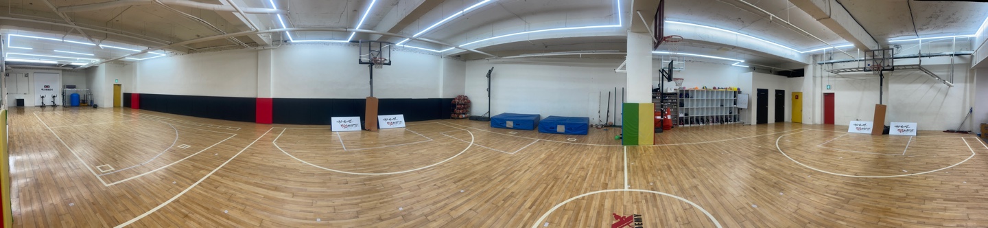 닥터스포츠