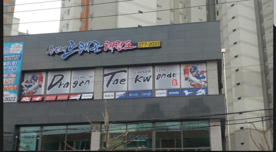 용인대드래곤 태권도