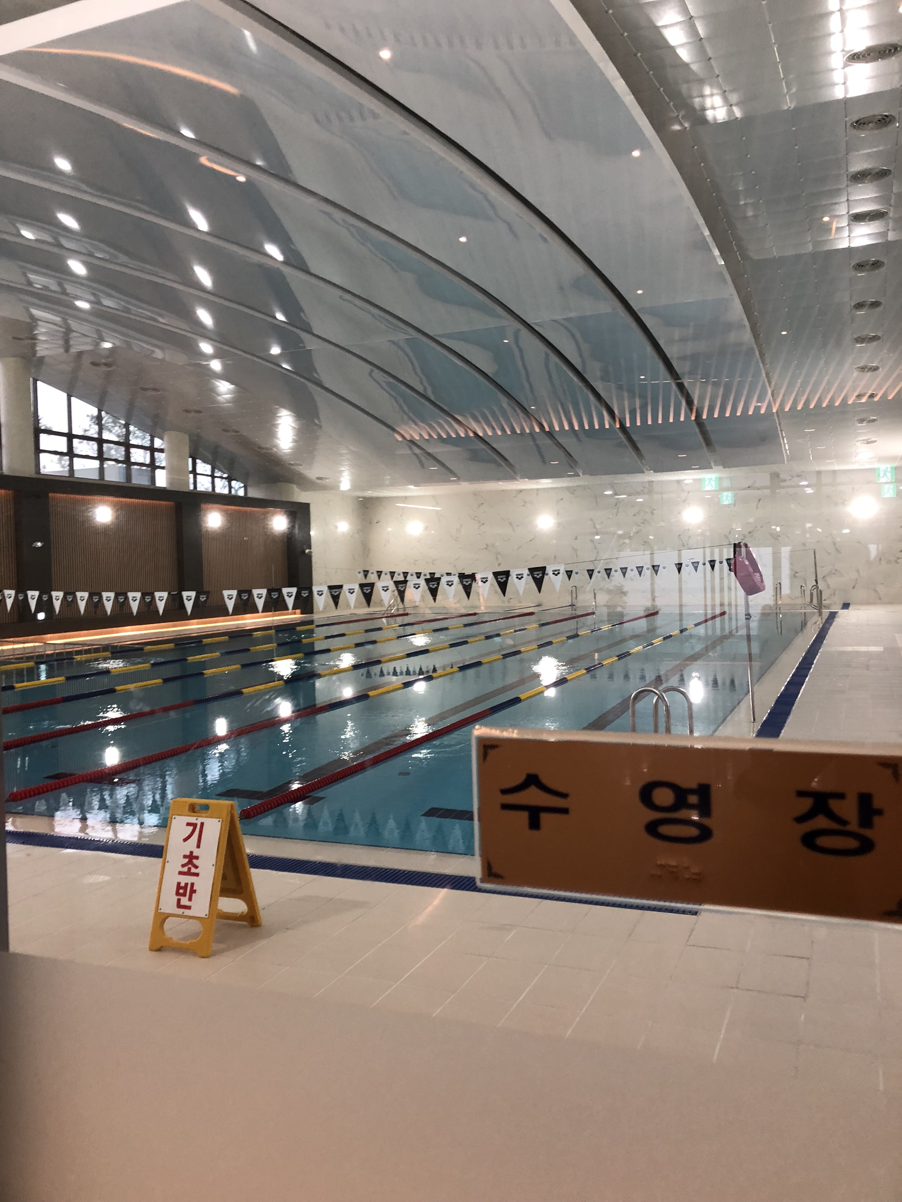 담빛 수영장