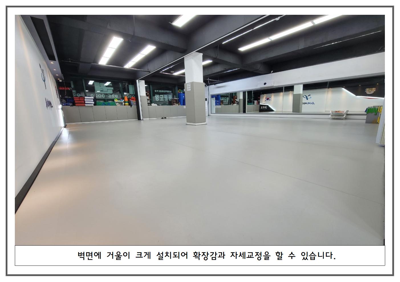 용인대 태권도