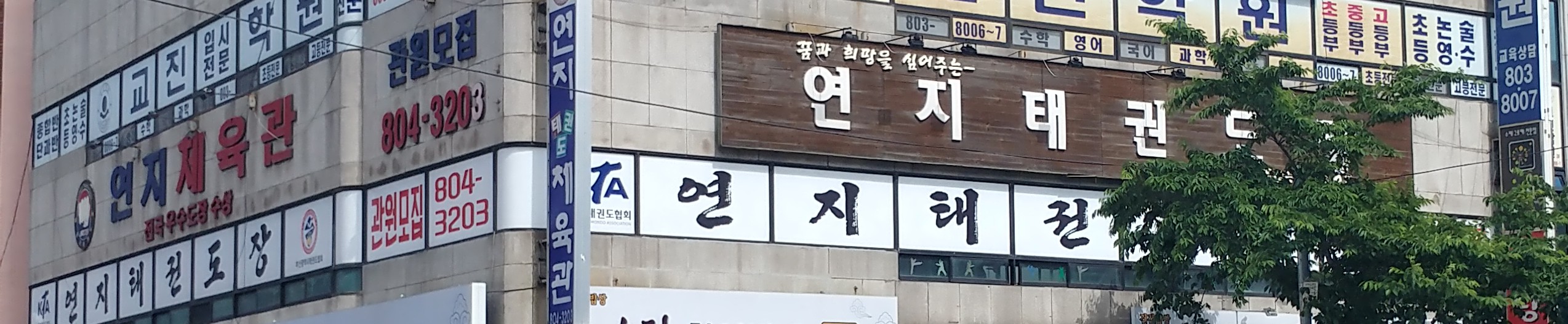 연지 태권도장