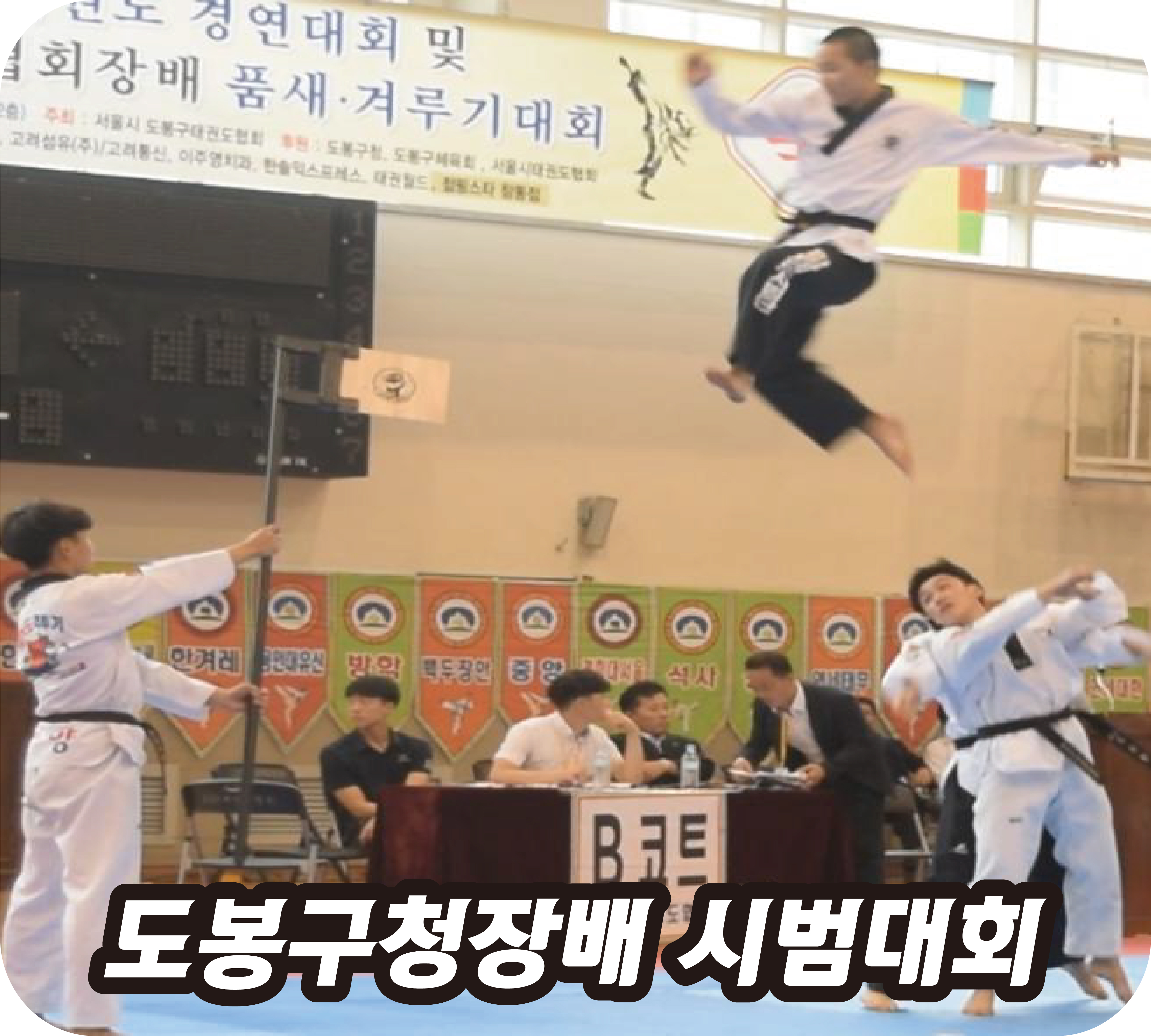한양 태권도 격투기체육관 3관번2동점