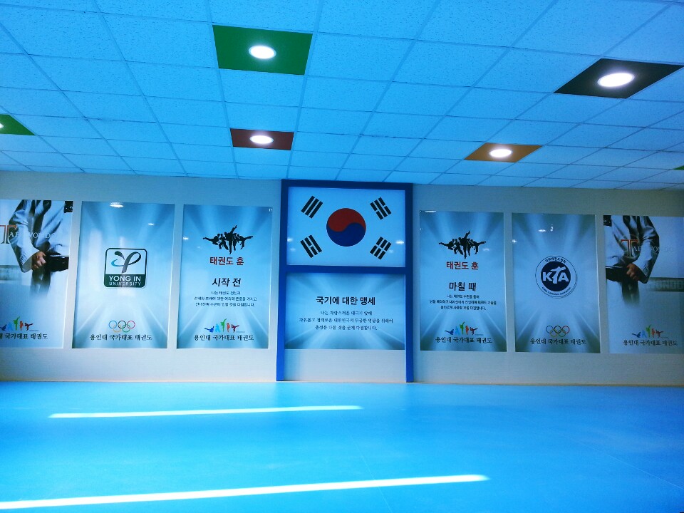 용인대국가대표 태권도