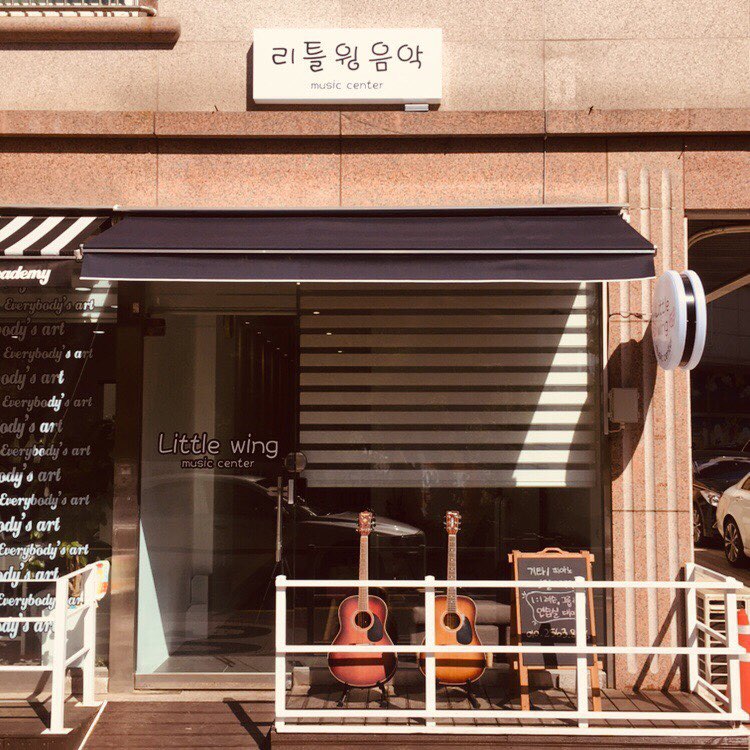 리틀윙 기타