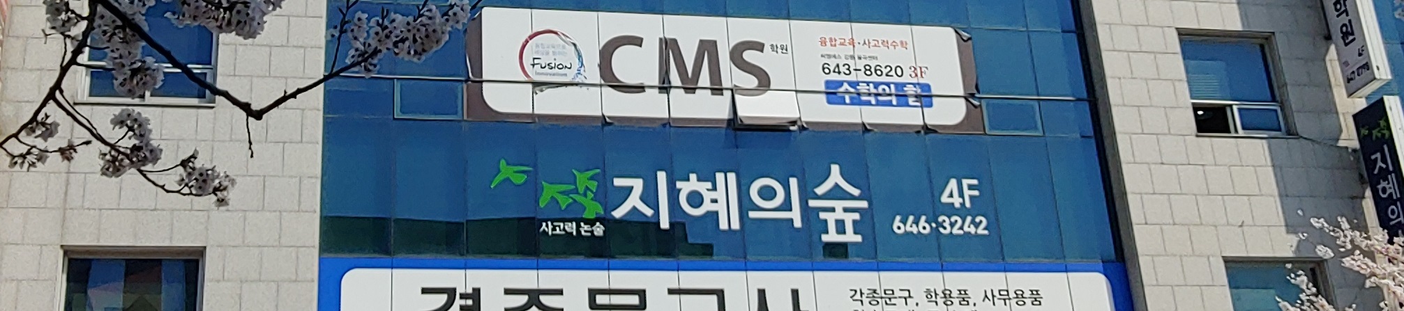 지혜의숲 사고력논술학원