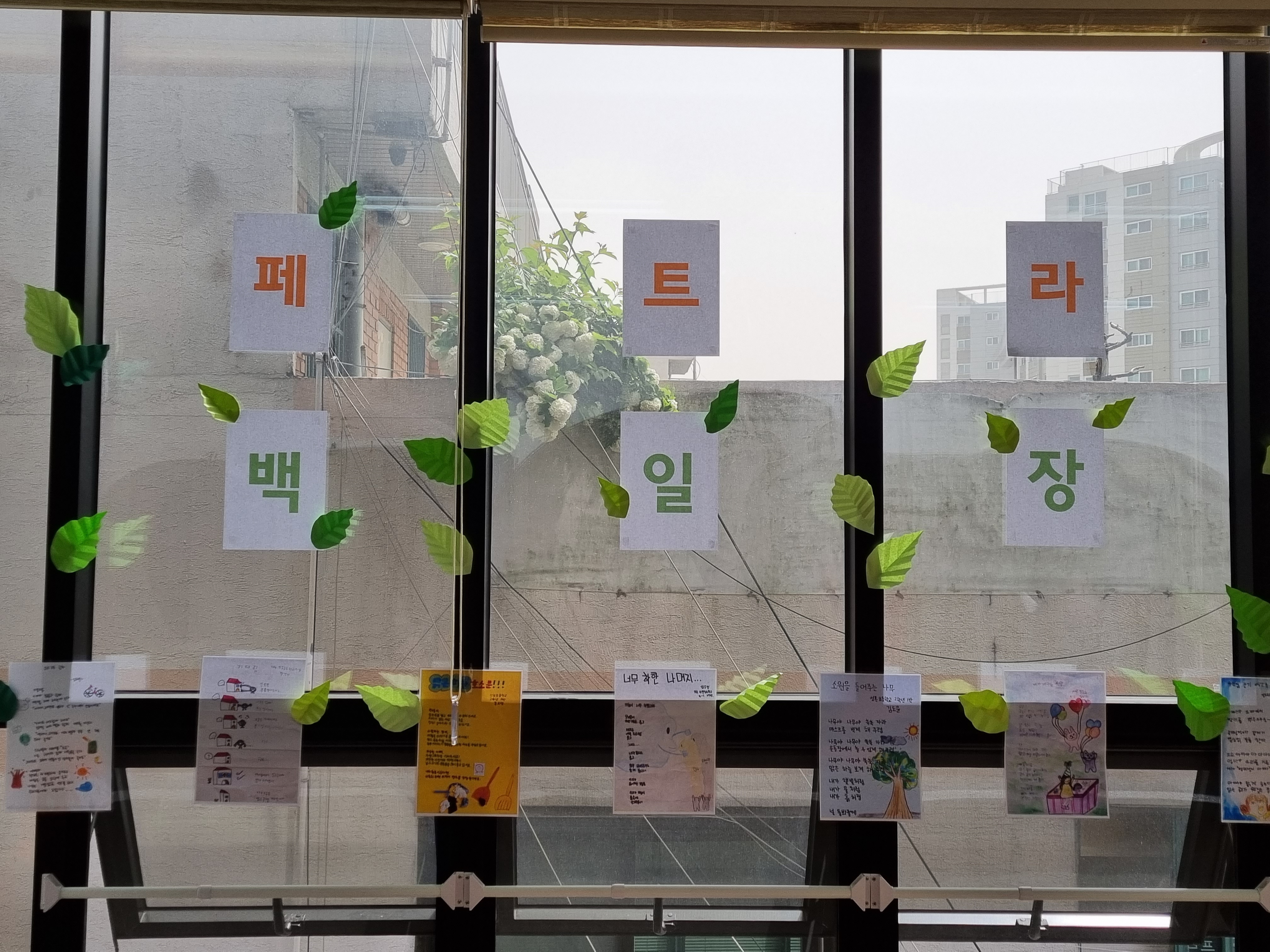 페트라비전 학원