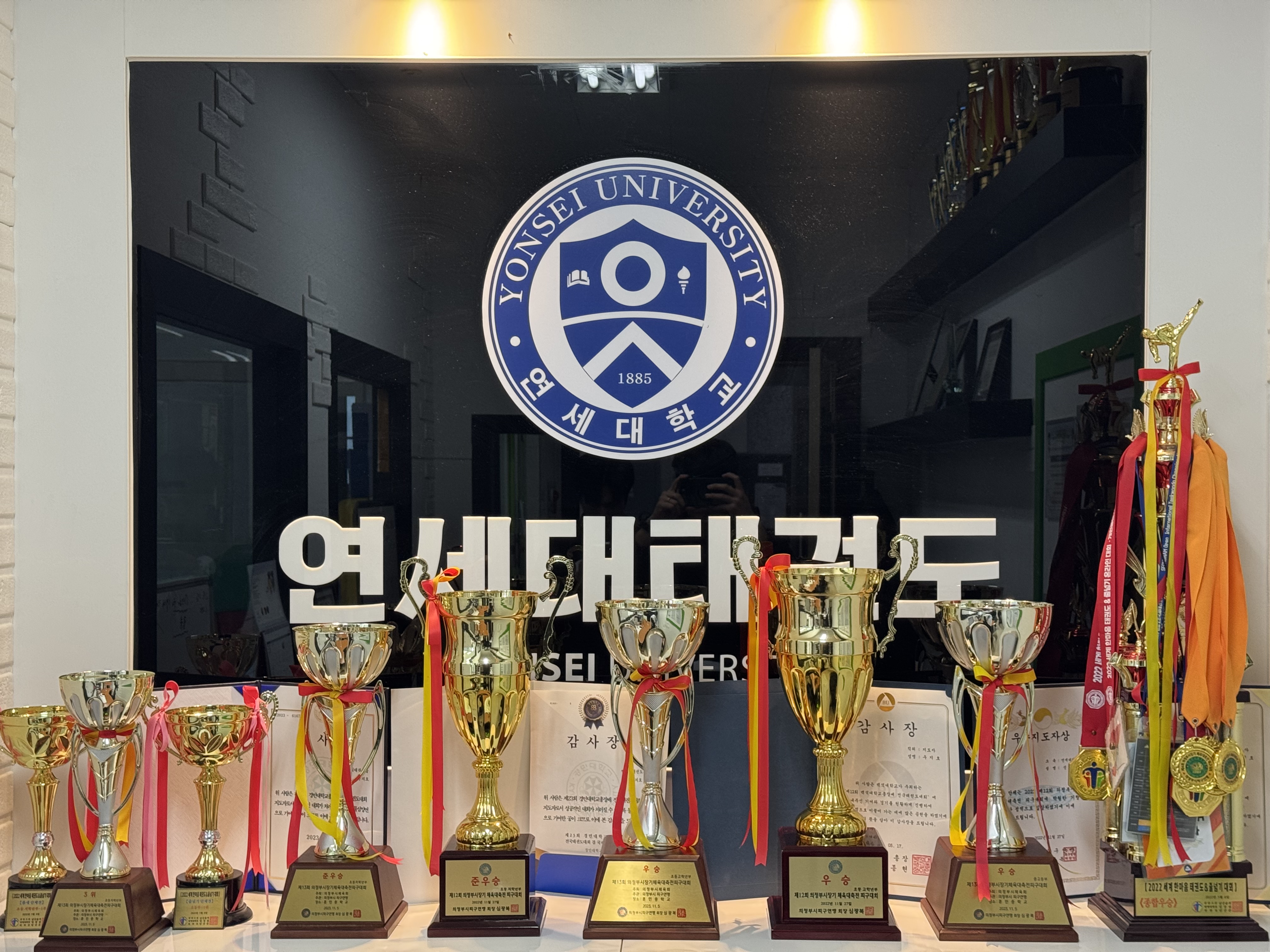 연세대태권도
