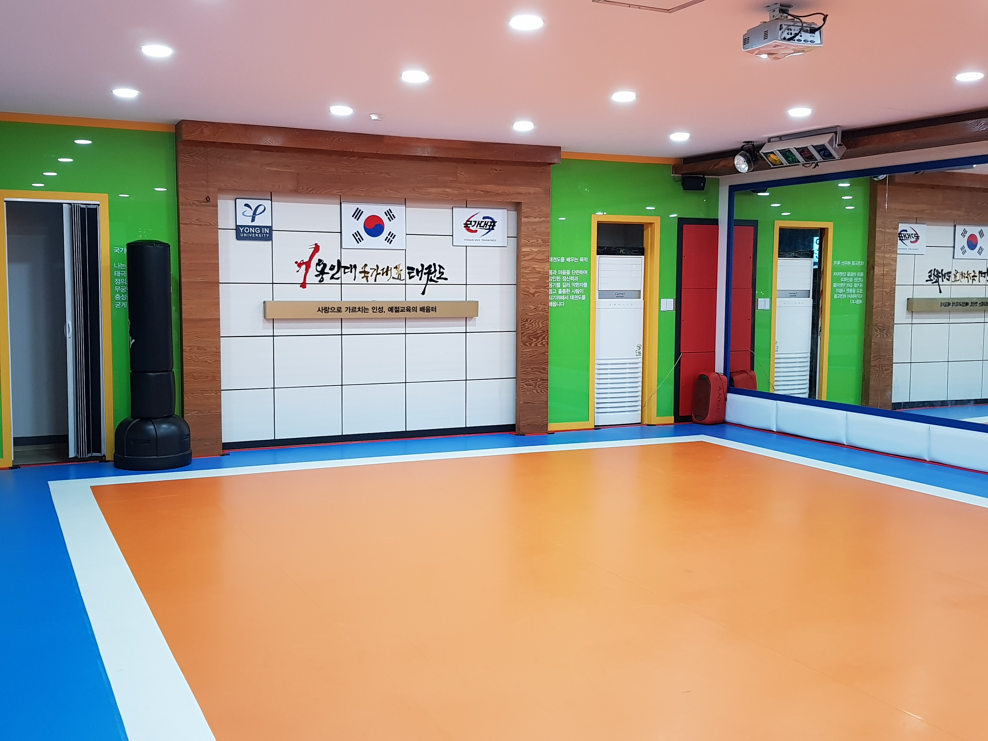 용인대 국가대표 태권도