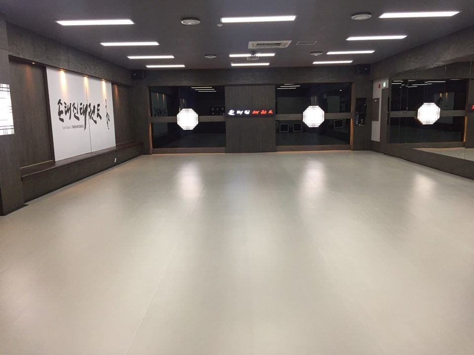손태진 태권도장