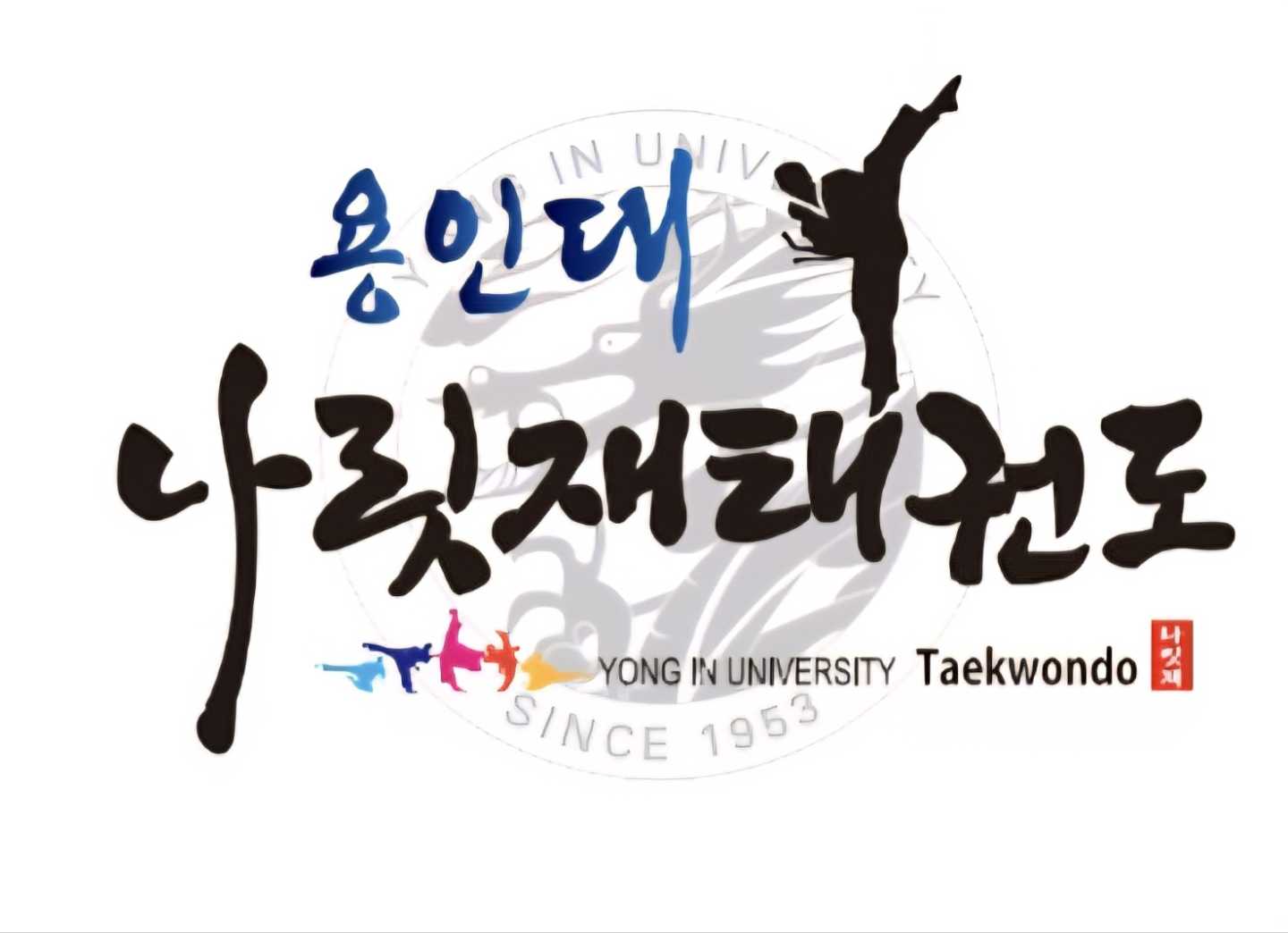 용인대나릿재 태권도