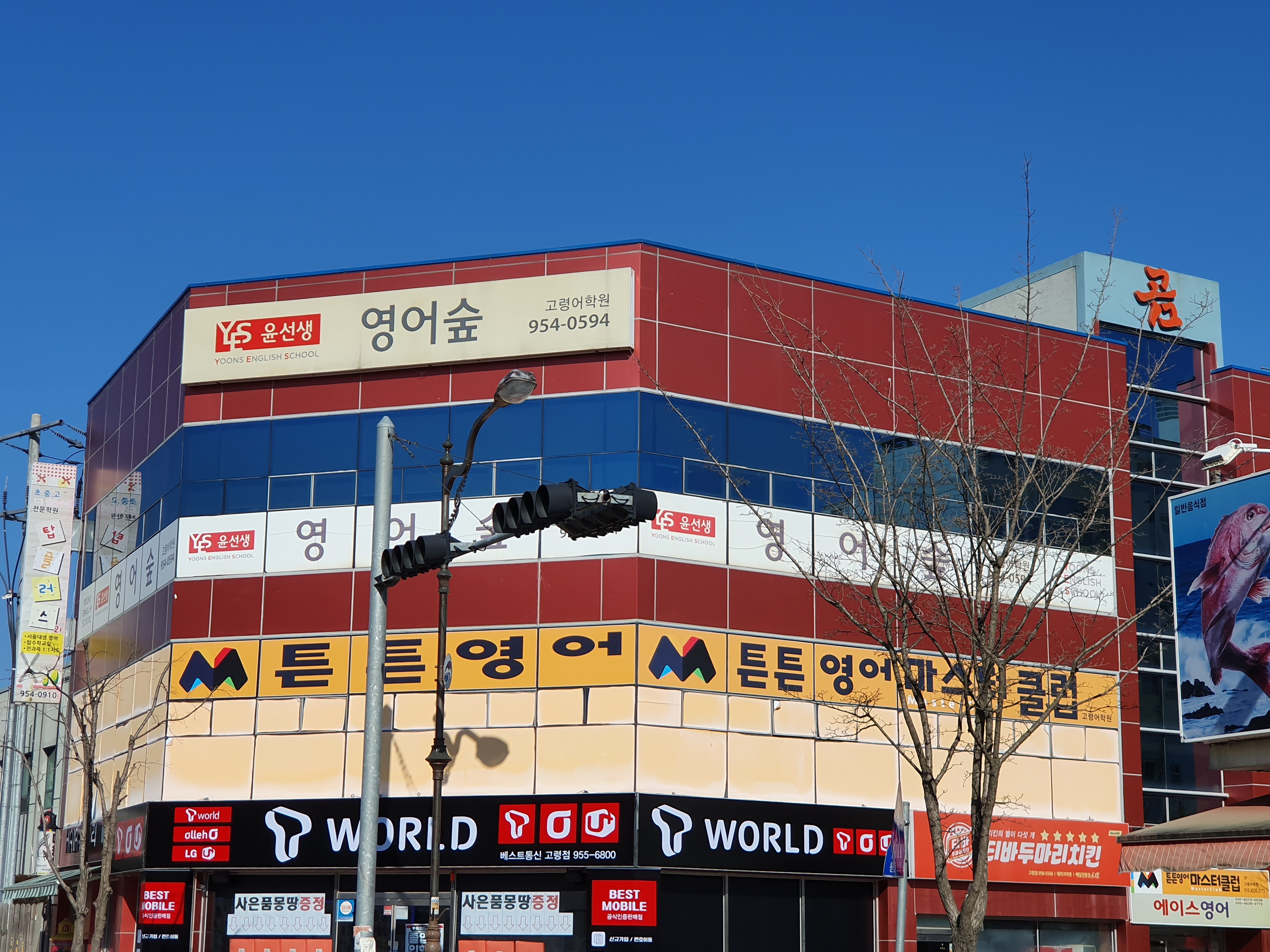 윤선생영어숲 고령 어학원